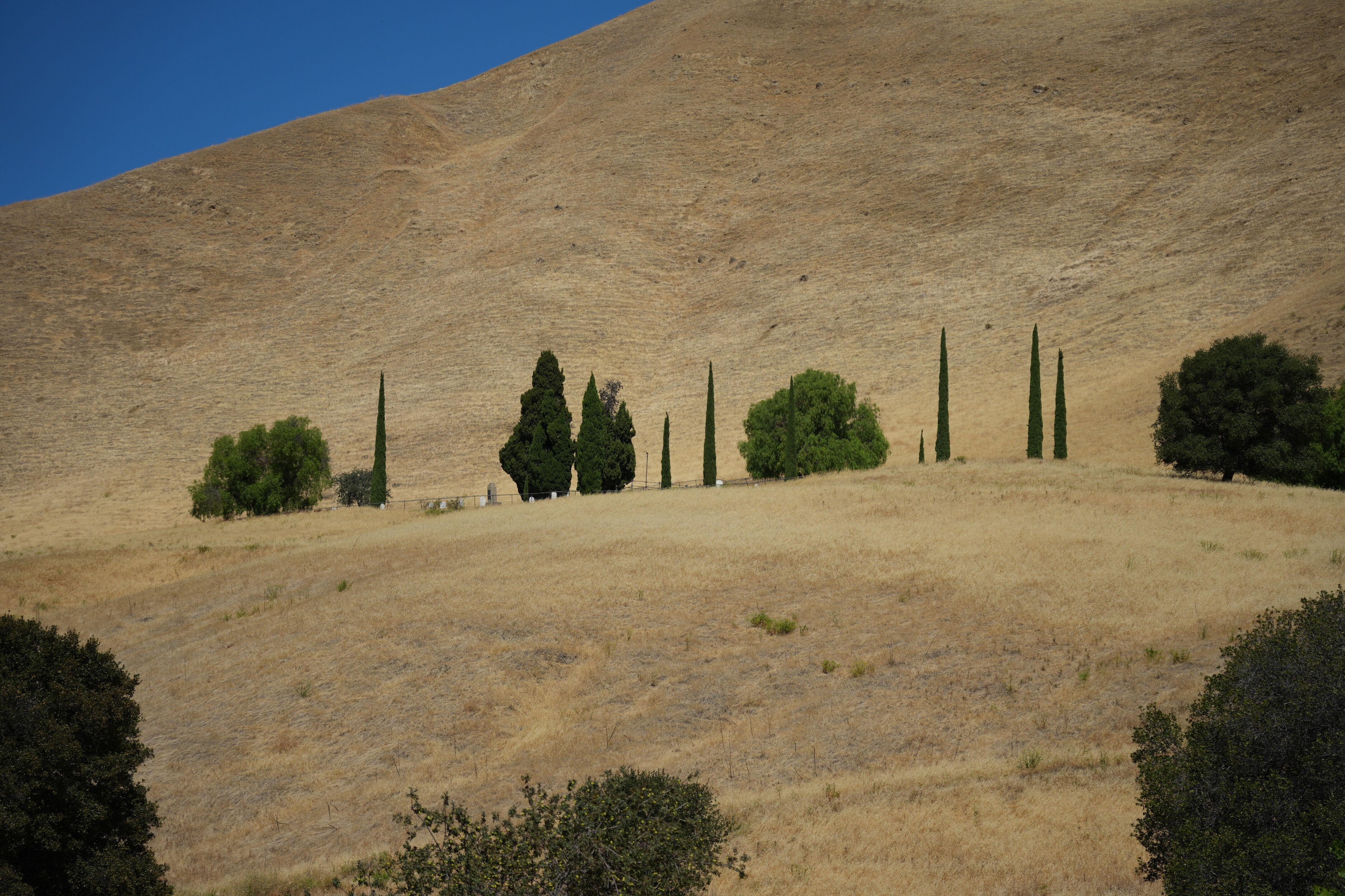 Black Diamond Mines Regional Preserve