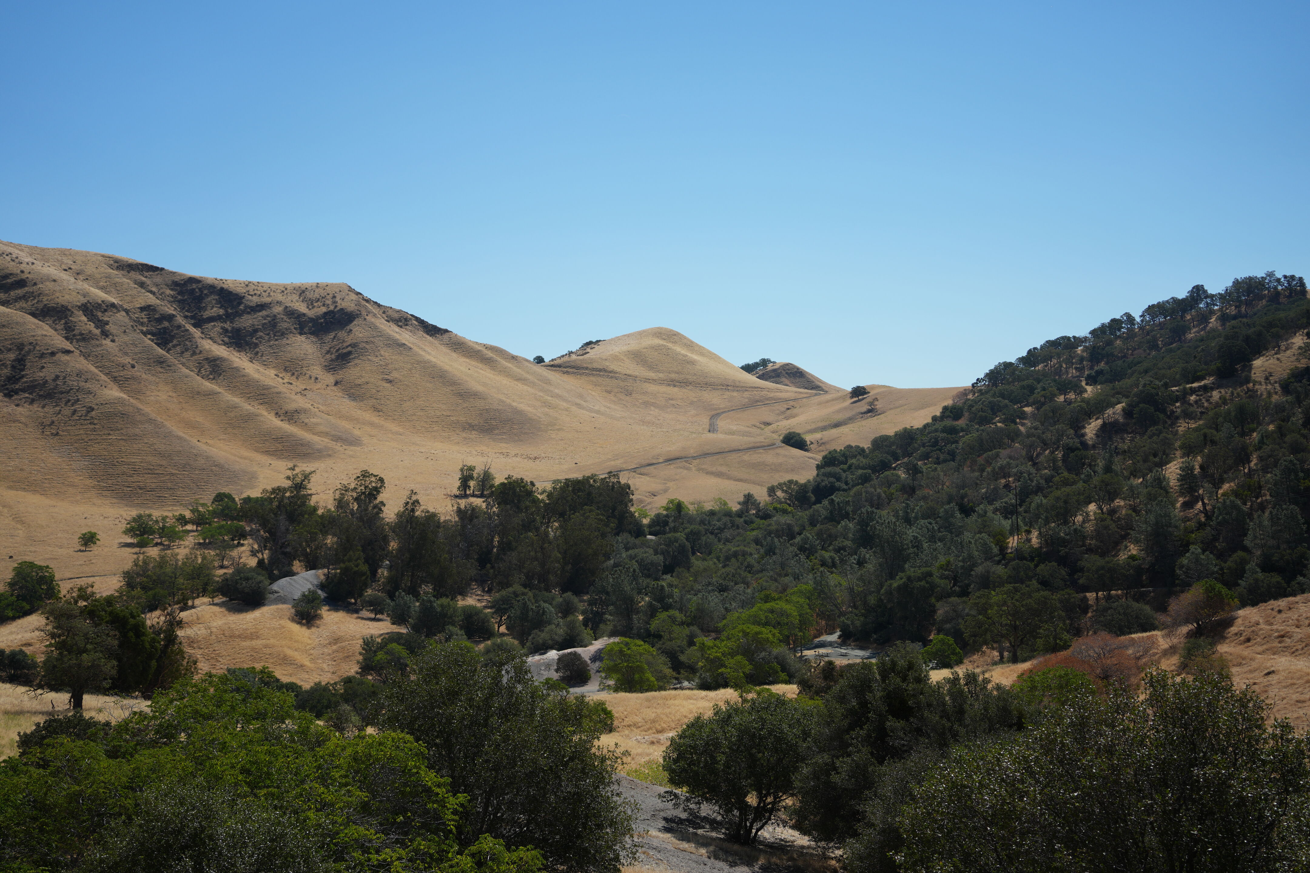 Black Diamond Mines Regional Preserve