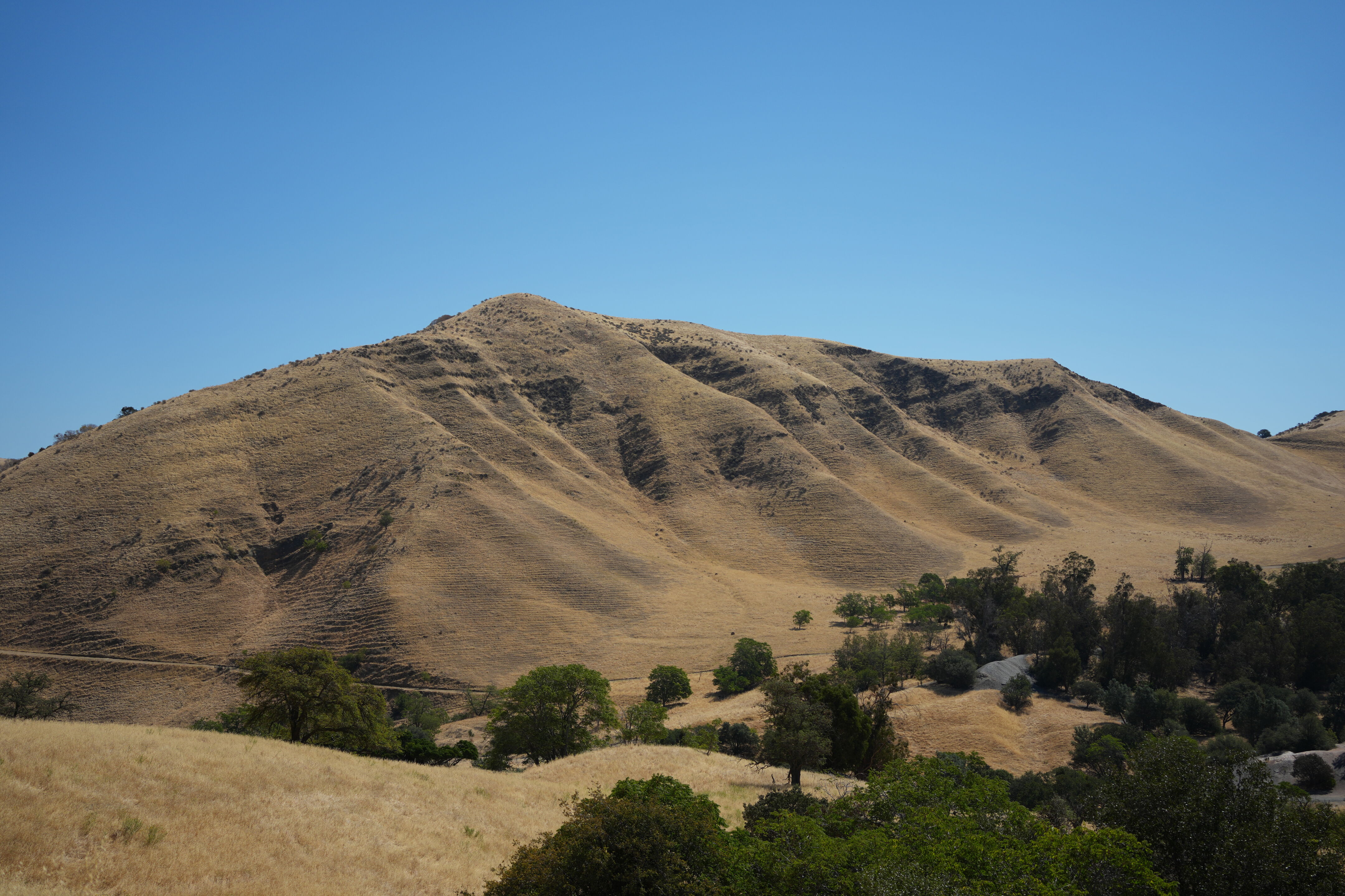 Black Diamond Mines Regional Preserve