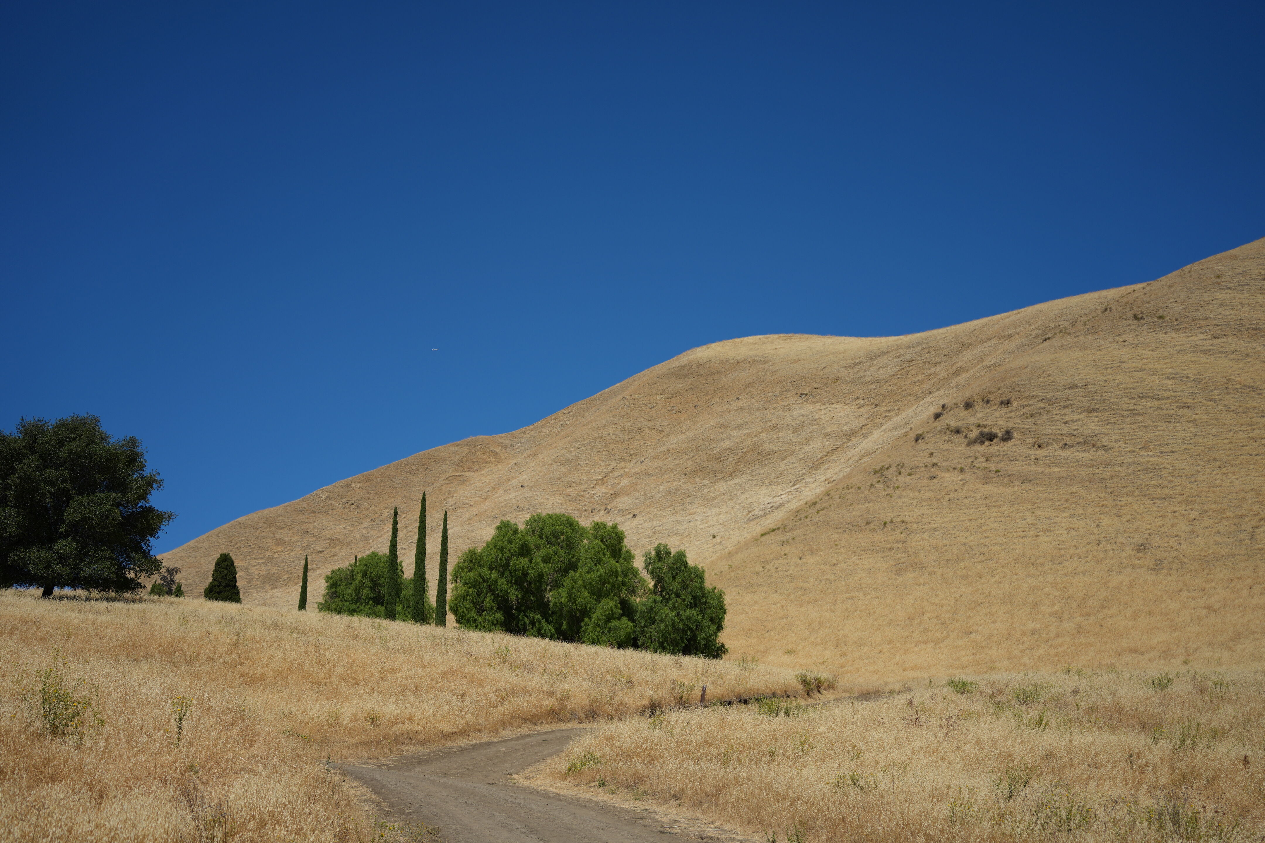 Black Diamond Mines Regional Preserve
