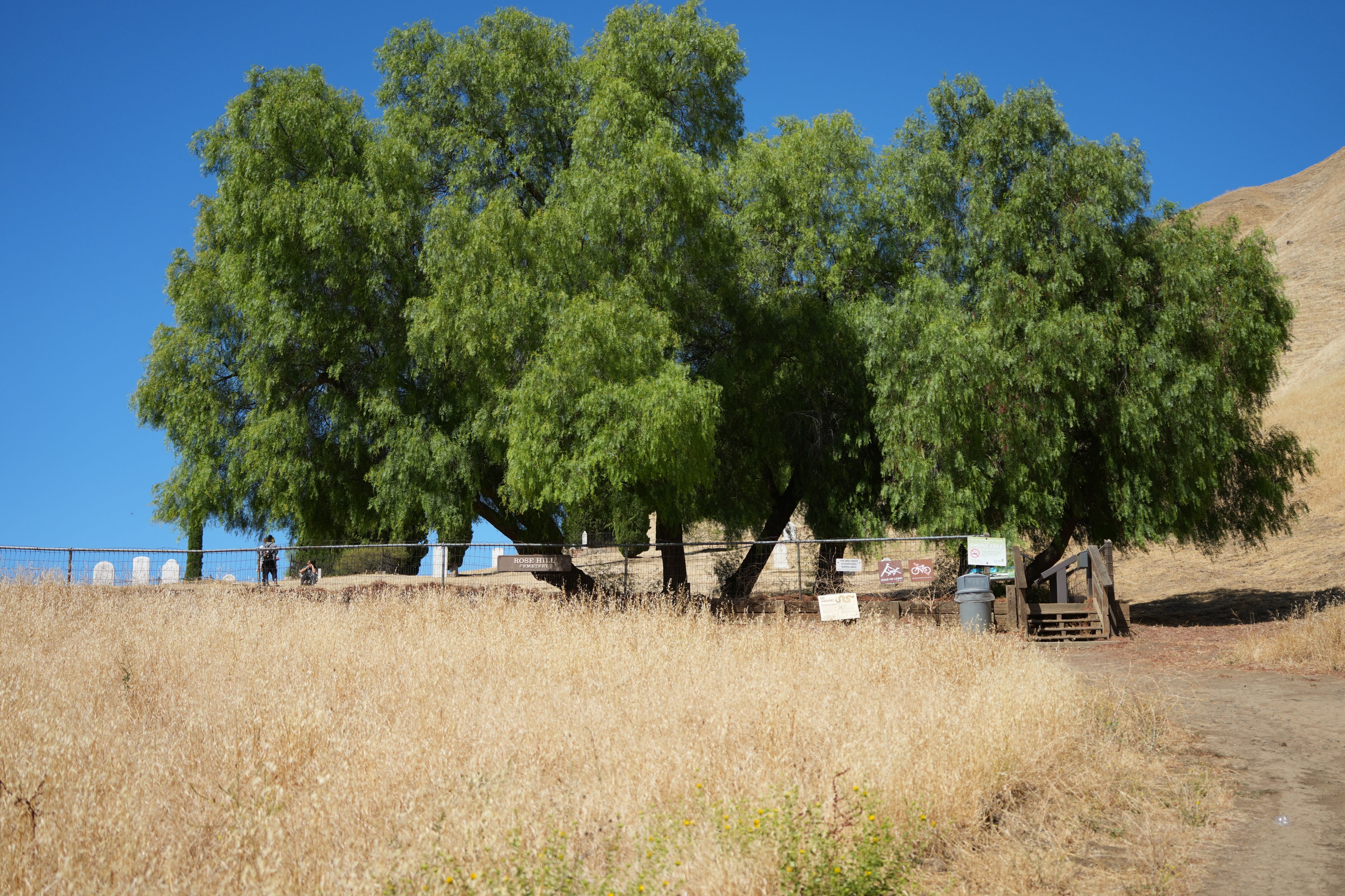 Black Diamond Mines Regional Preserve