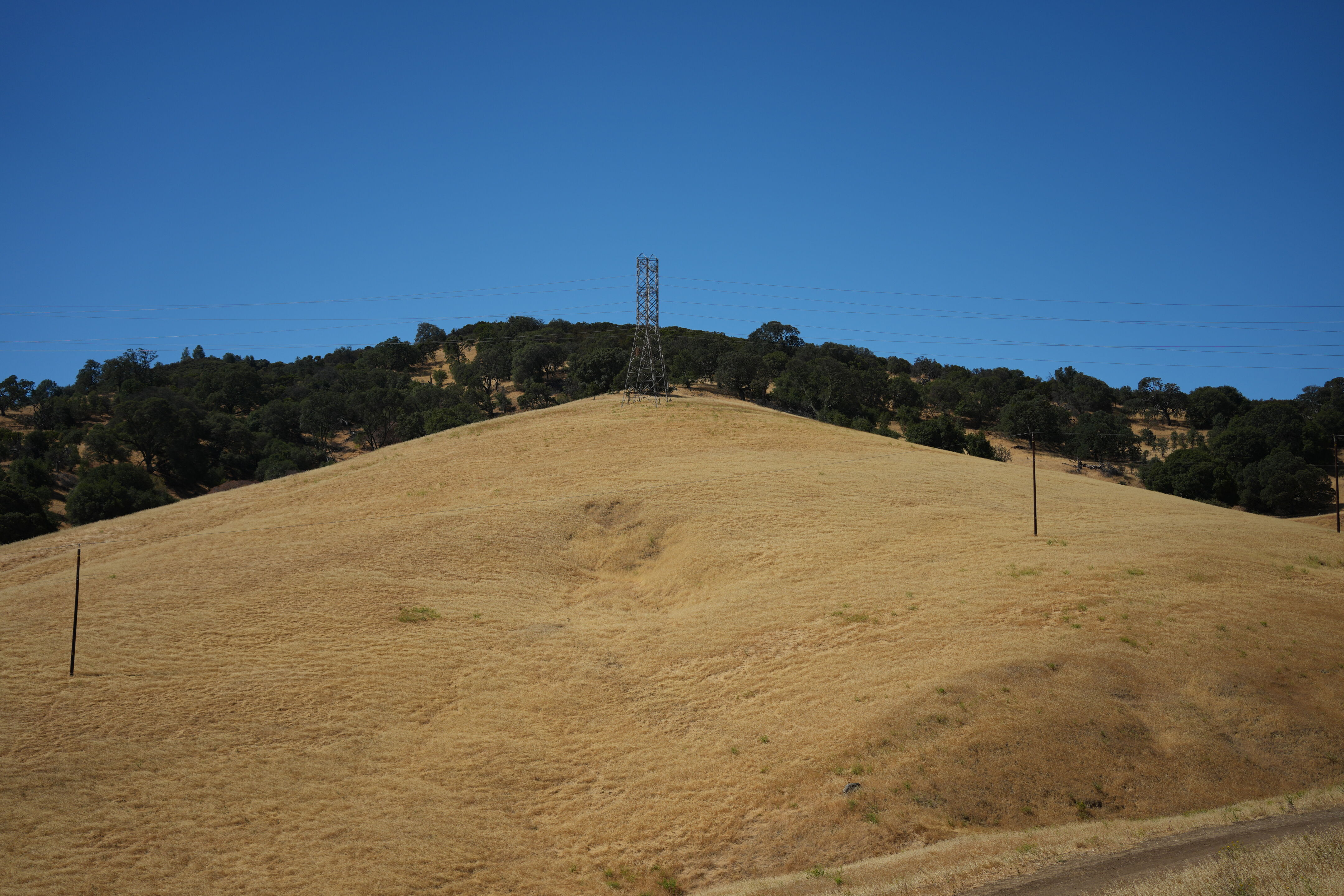 Black Diamond Mines Regional Preserve