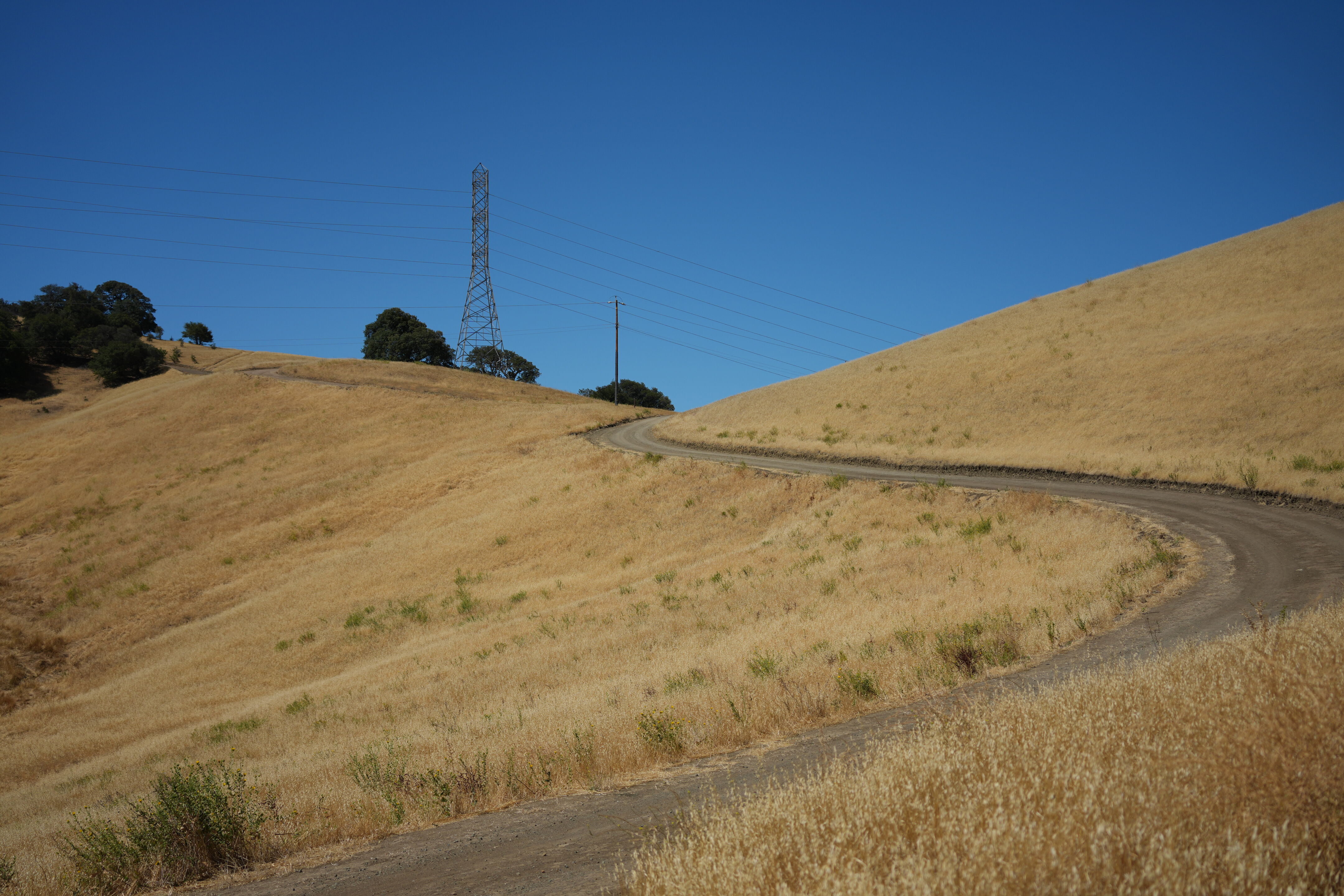 Black Diamond Mines Regional Preserve