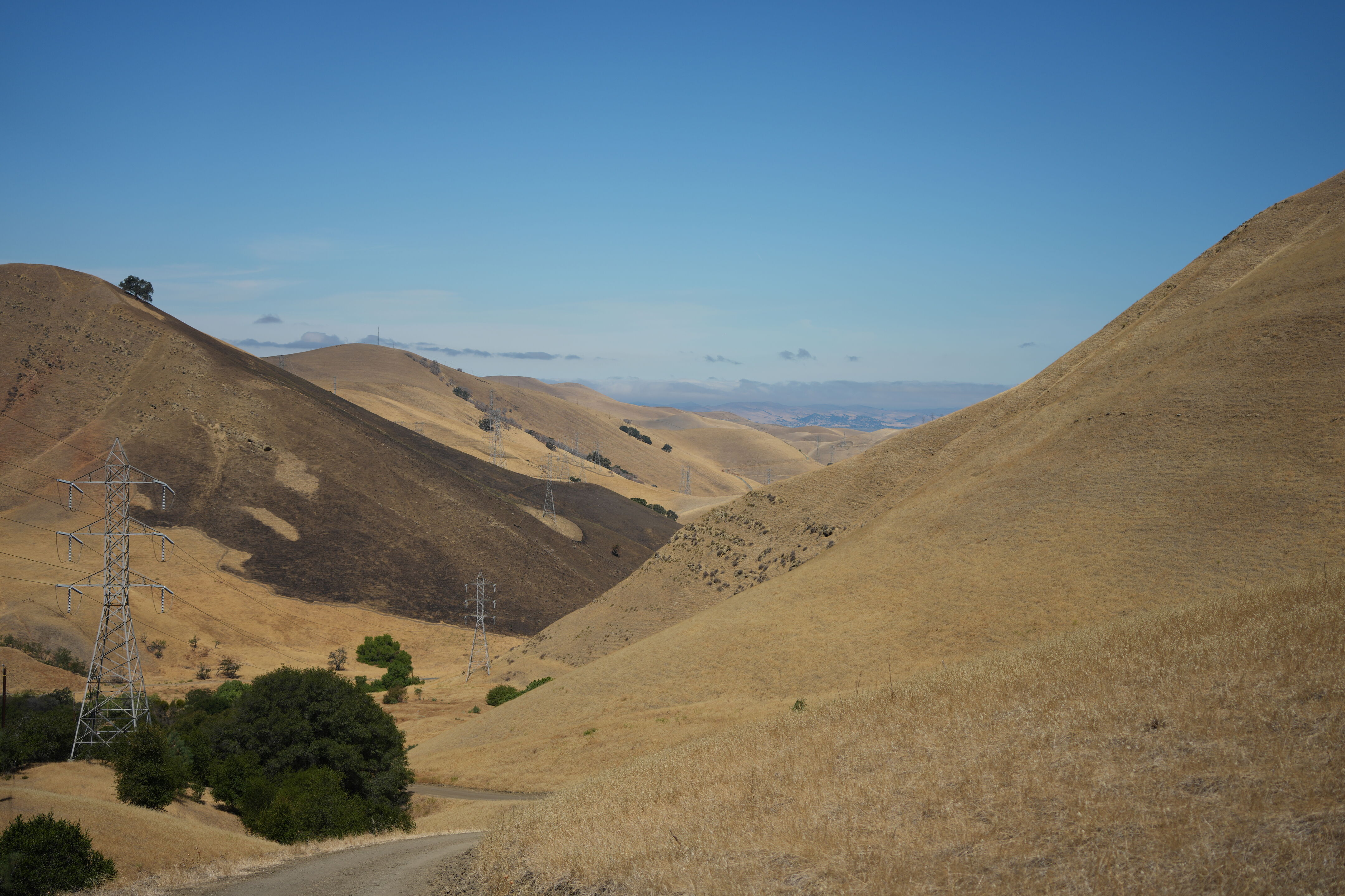 Black Diamond Mines Regional Preserve