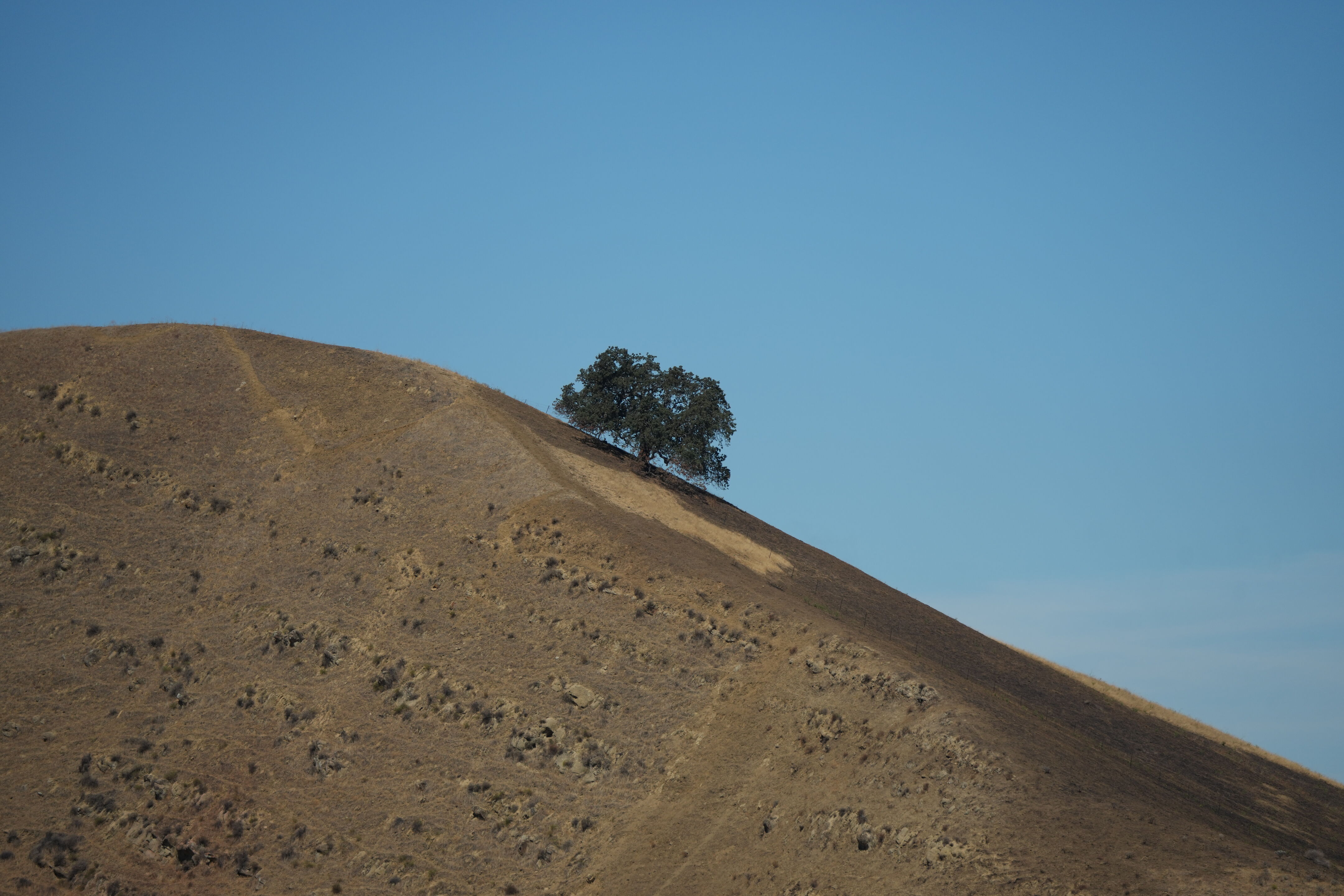 Black Diamond Mines Regional Preserve