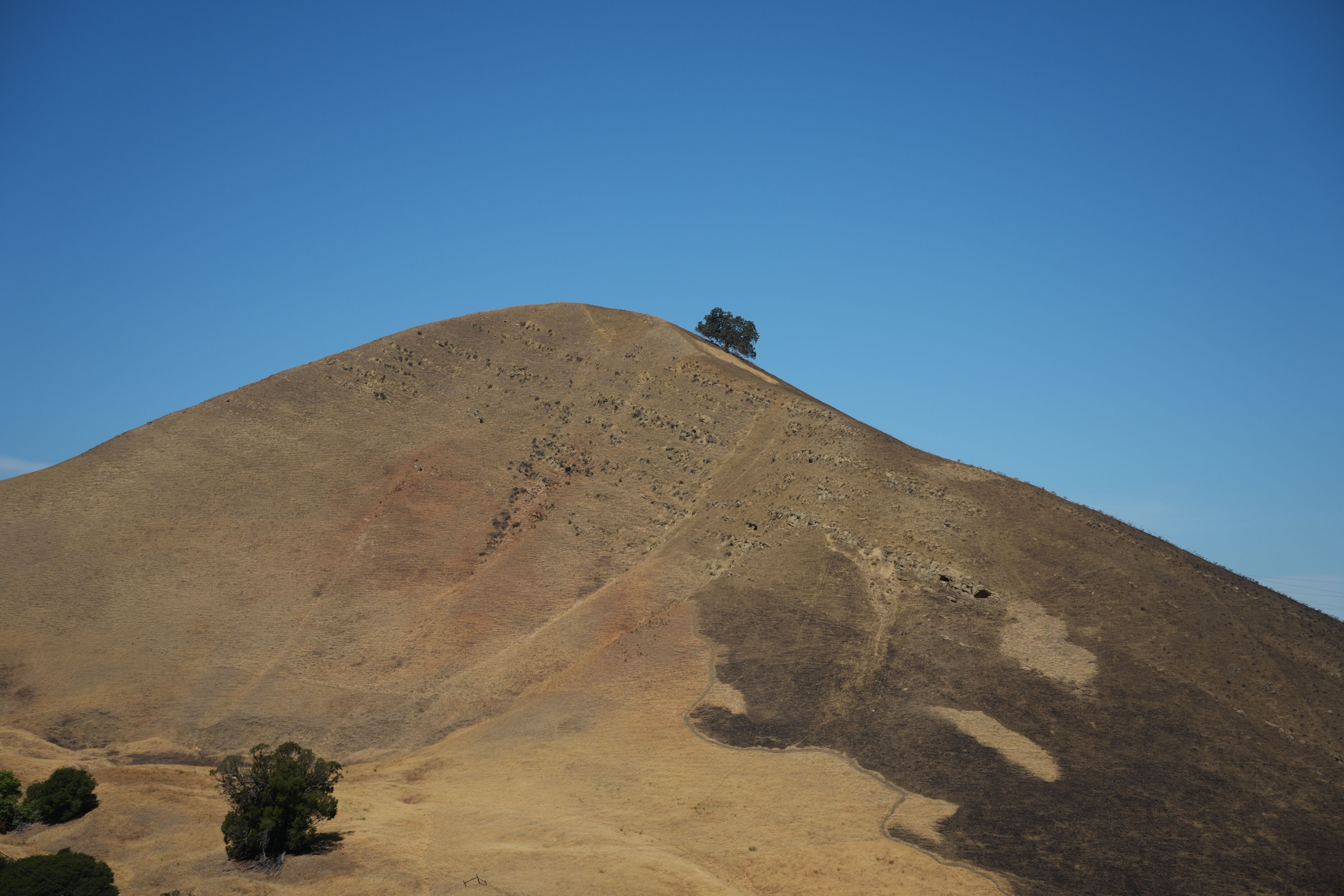Black Diamond Mines Regional Preserve