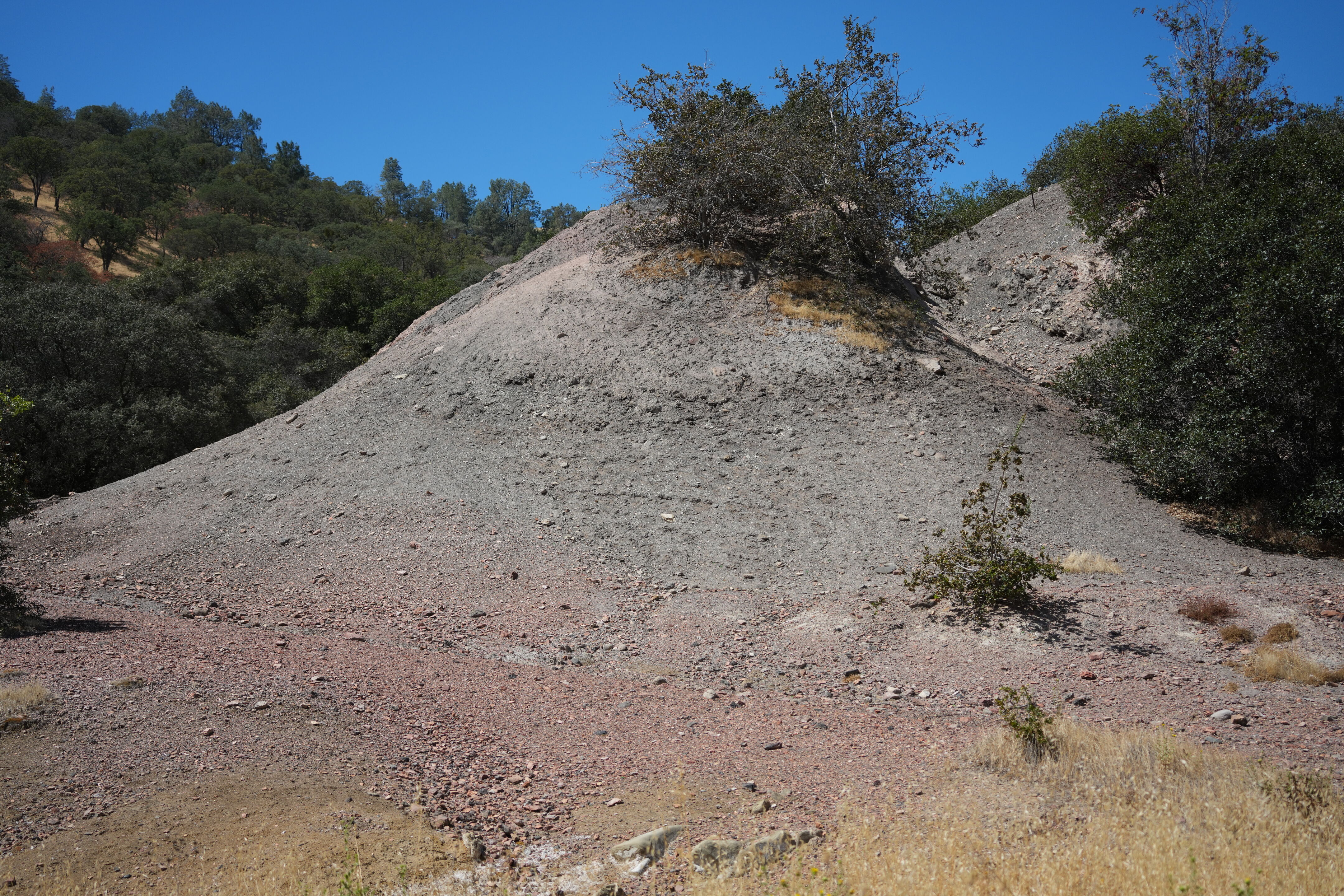 Black Diamond Mines Regional Preserve