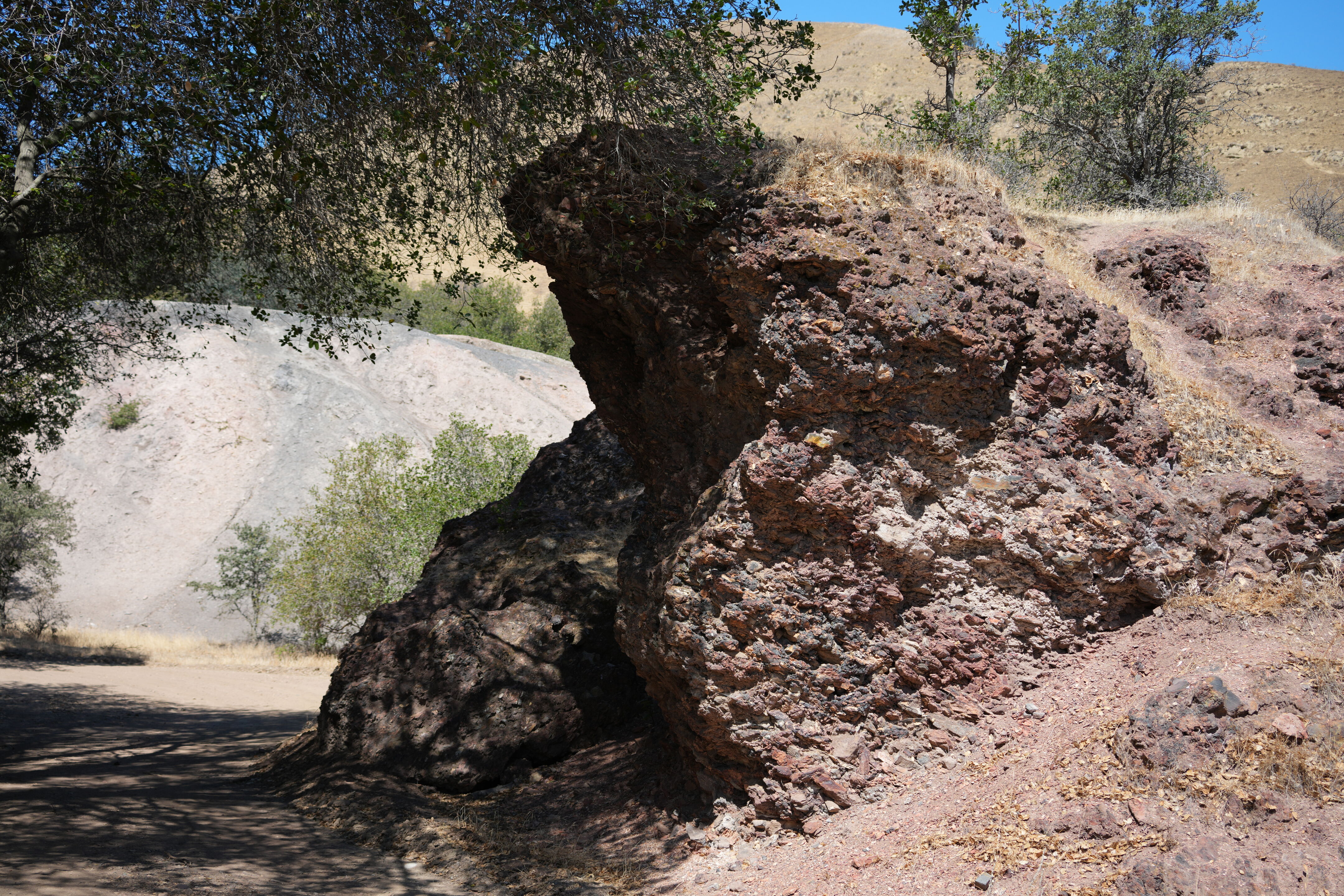 Black Diamond Mines Regional Preserve