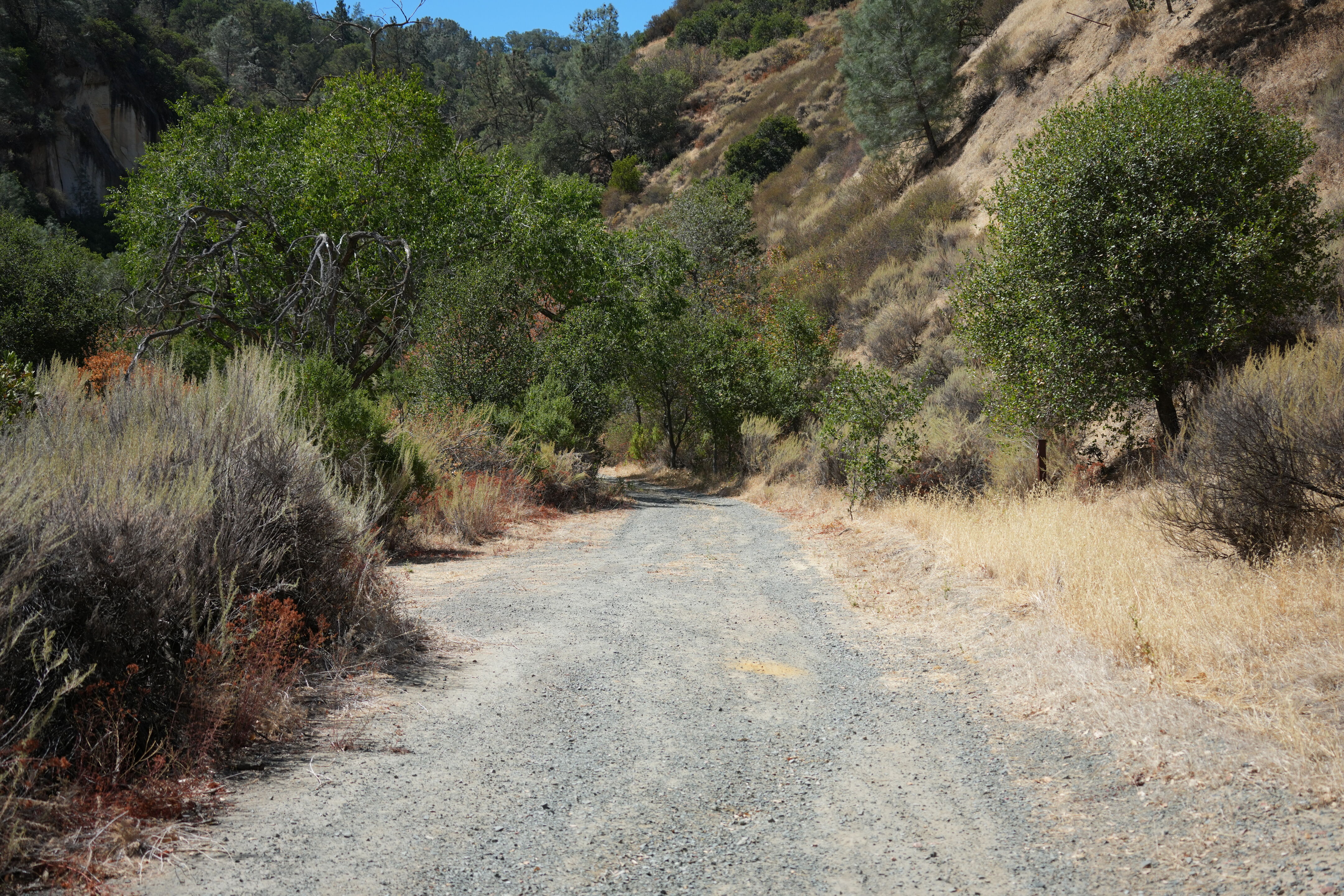 Black Diamond Mines Regional Preserve