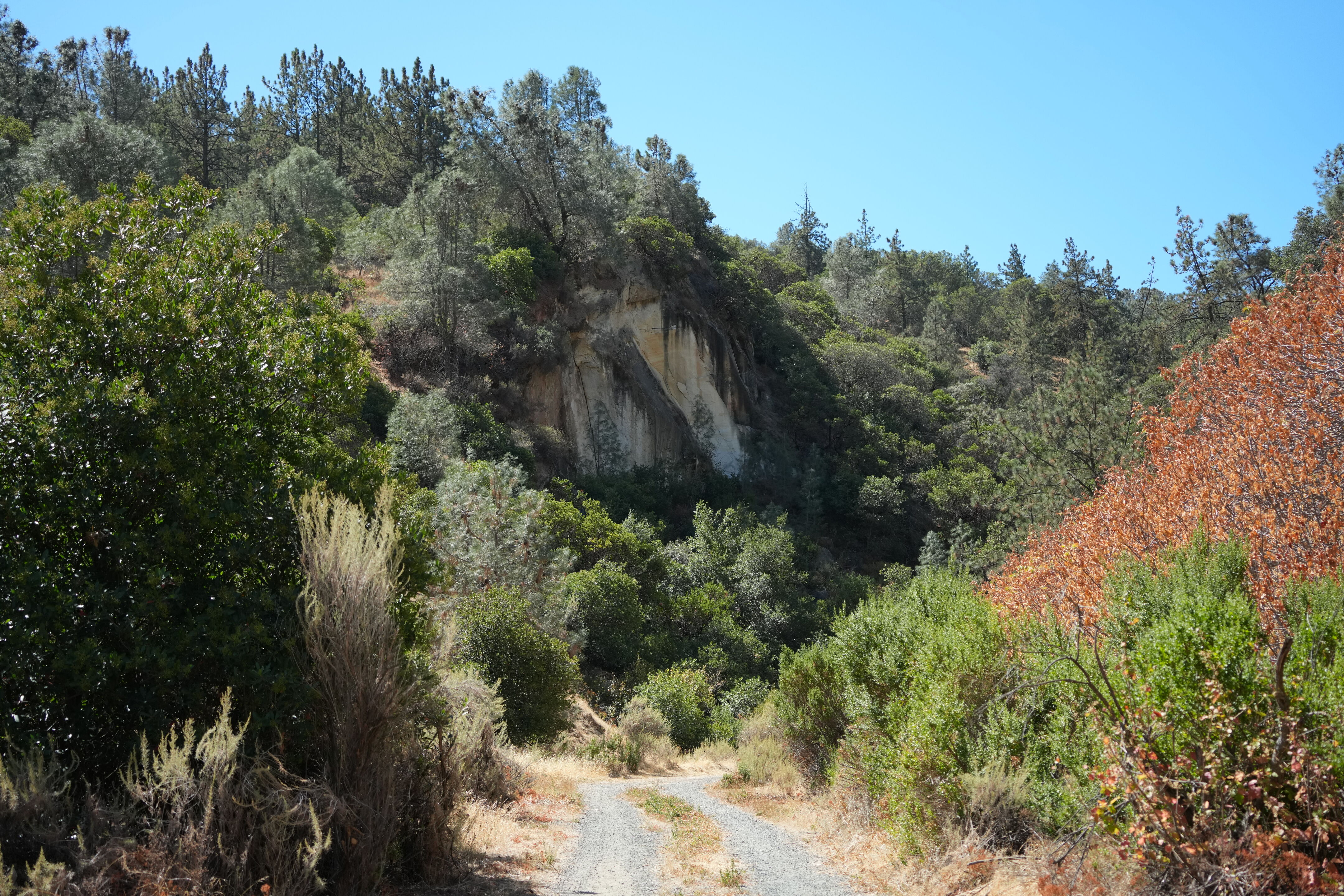 Black Diamond Mines Regional Preserve