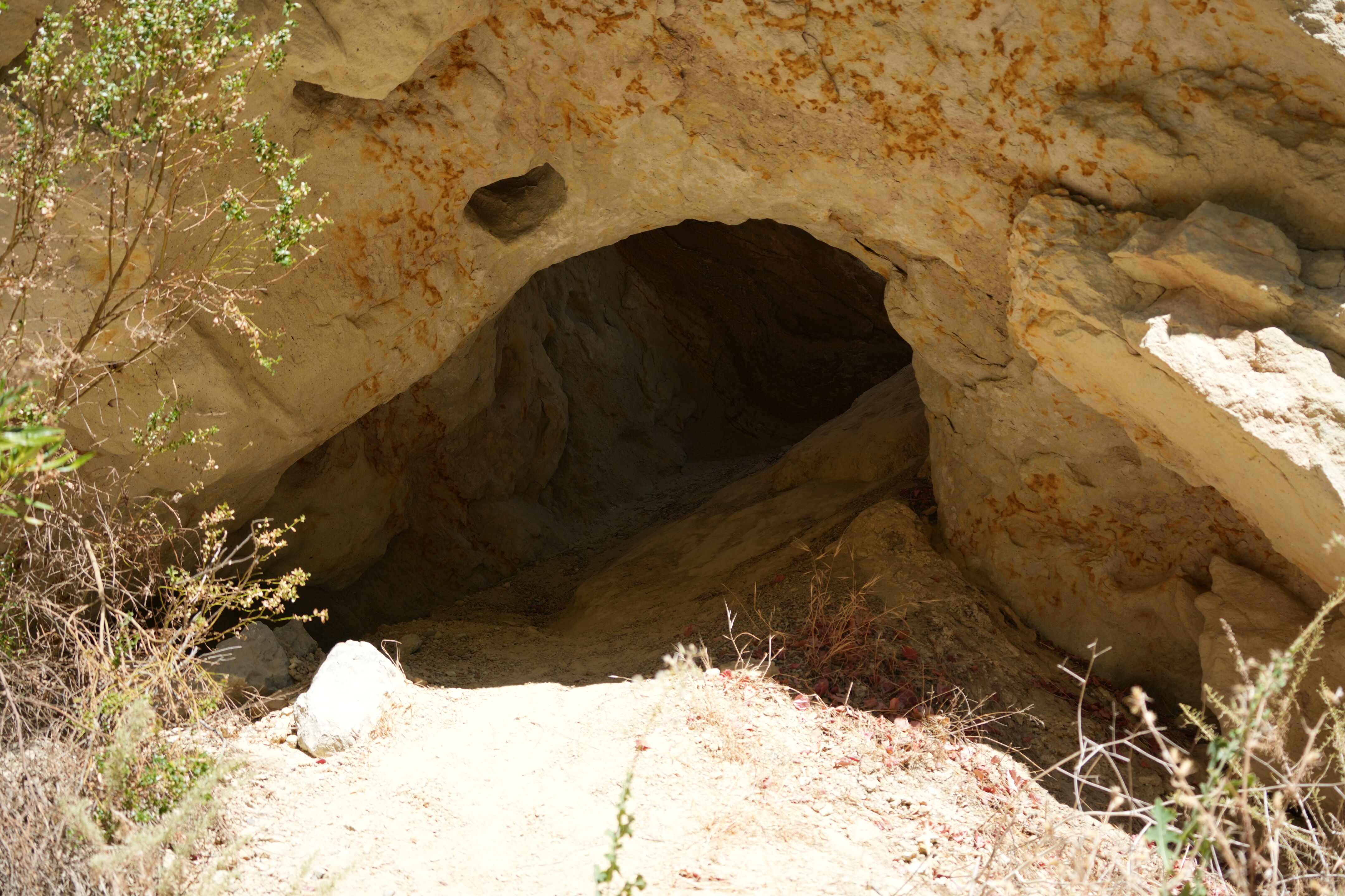 Black Diamond Mines Regional Preserve