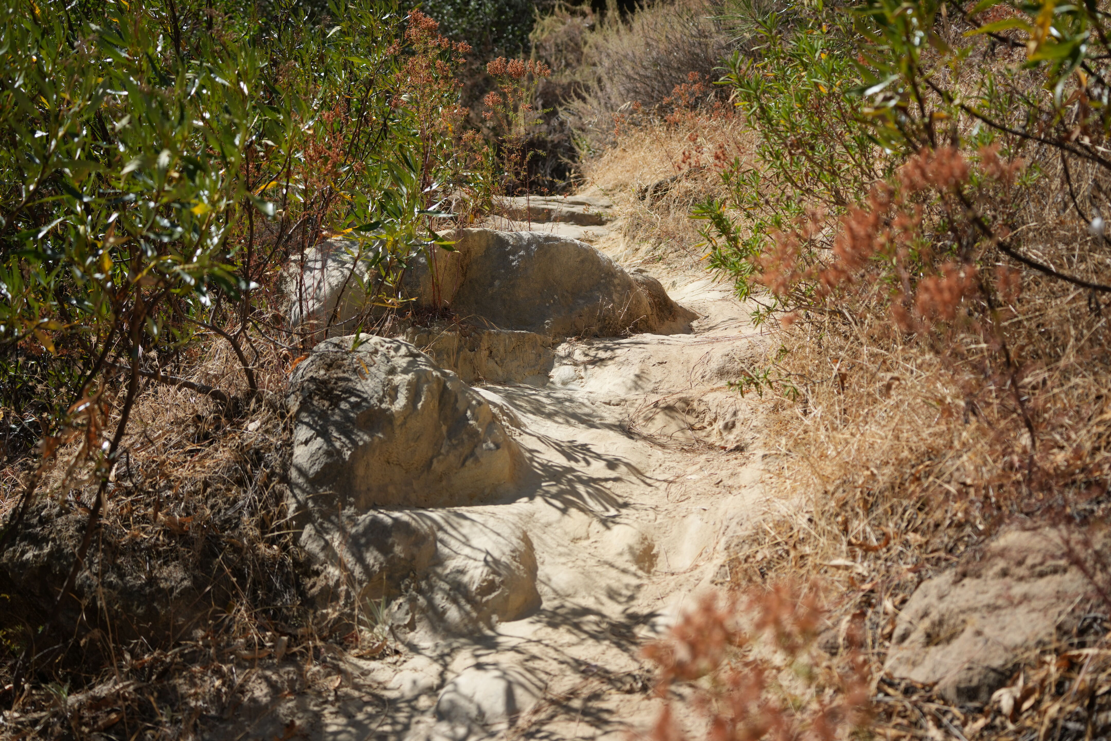 Black Diamond Mines Regional Preserve