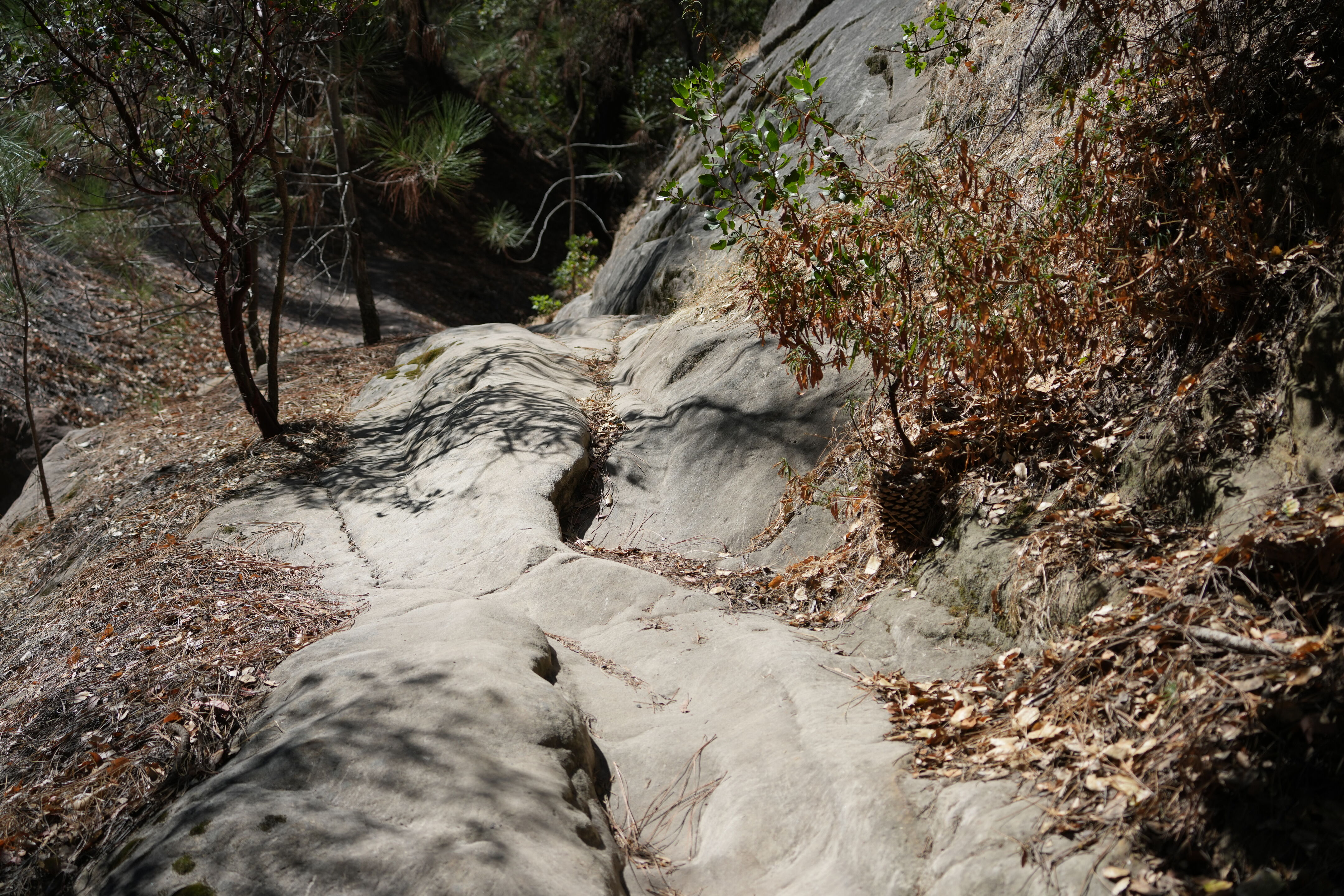 Black Diamond Mines Regional Preserve