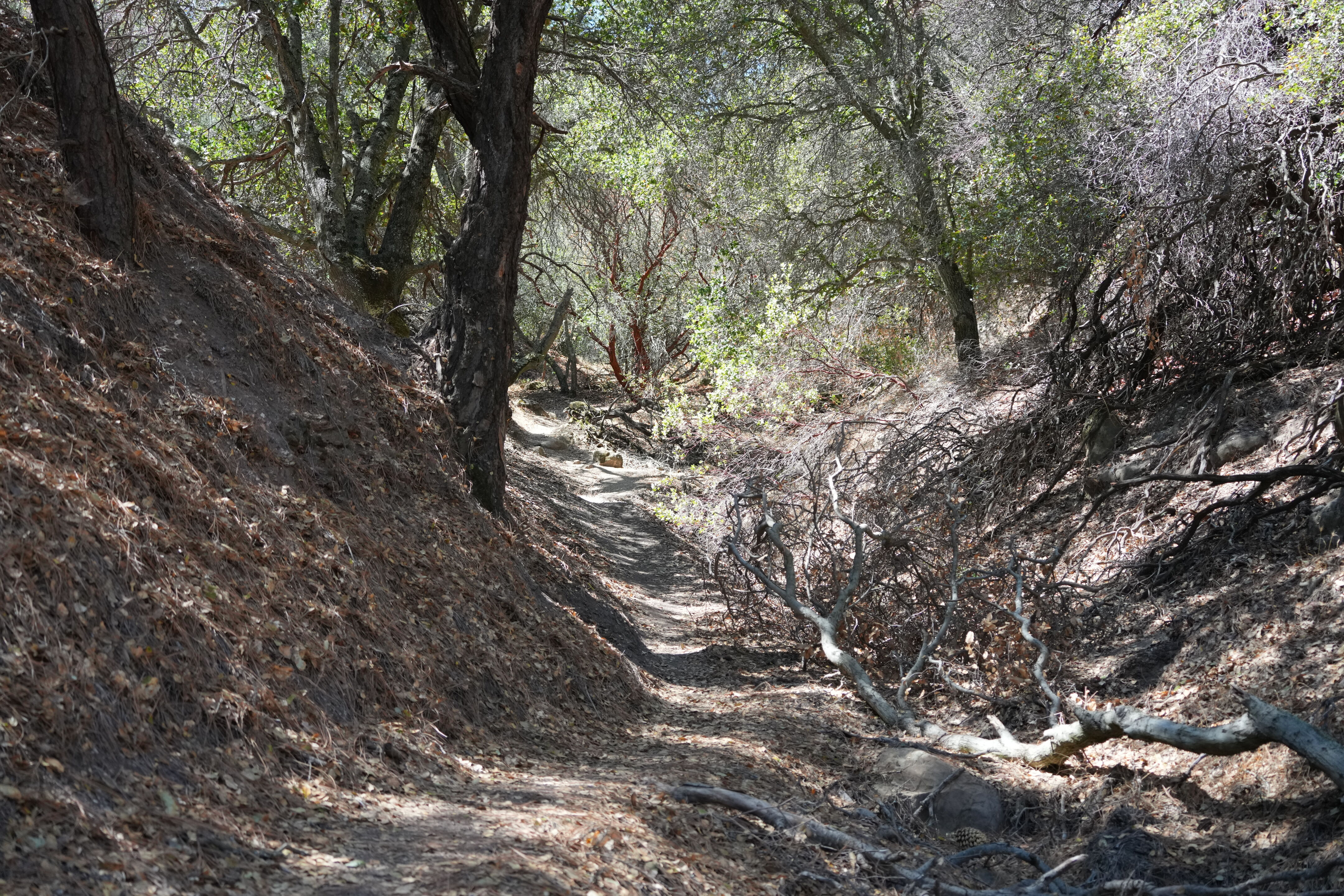 Black Diamond Mines Regional Preserve