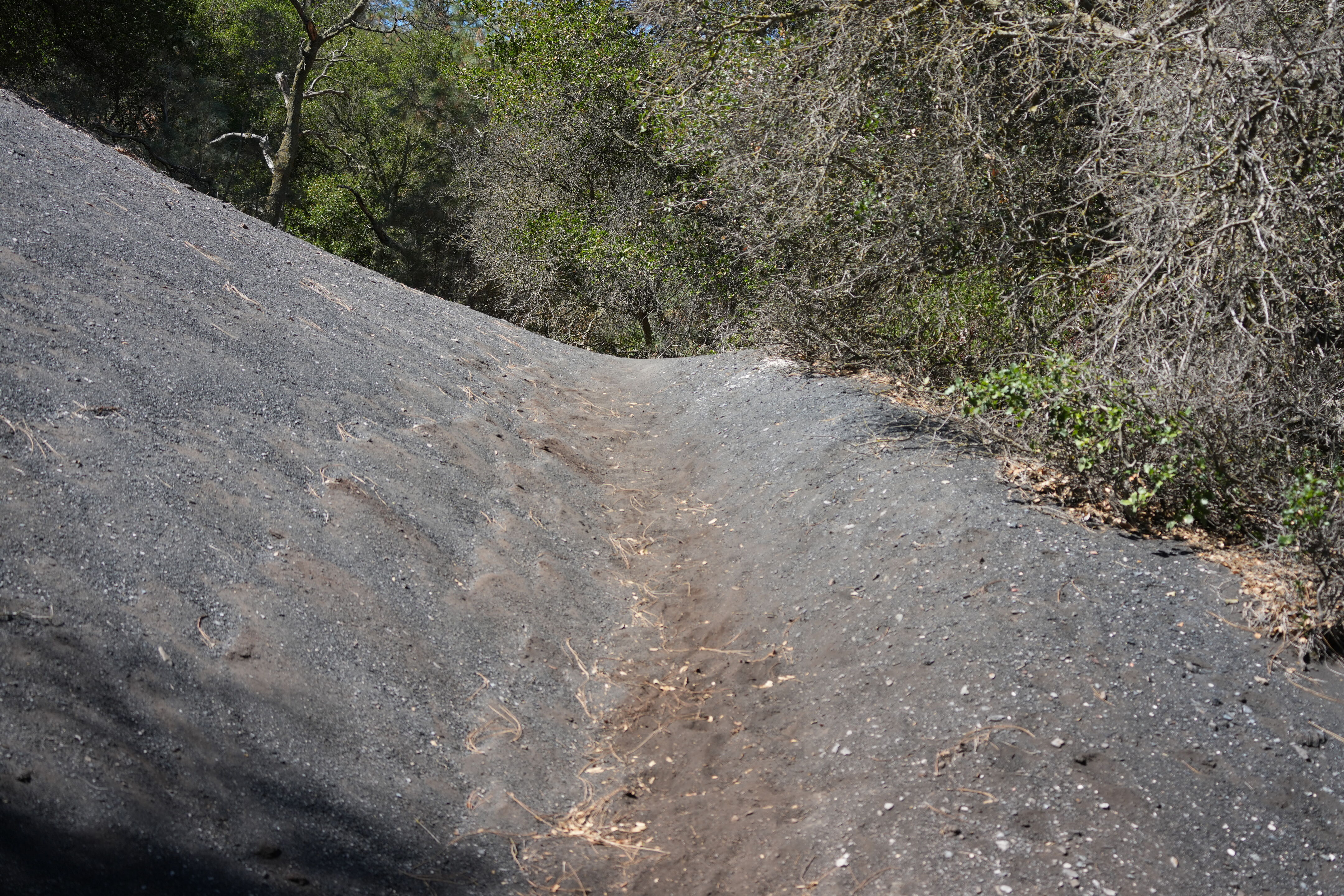 Black Diamond Mines Regional Preserve