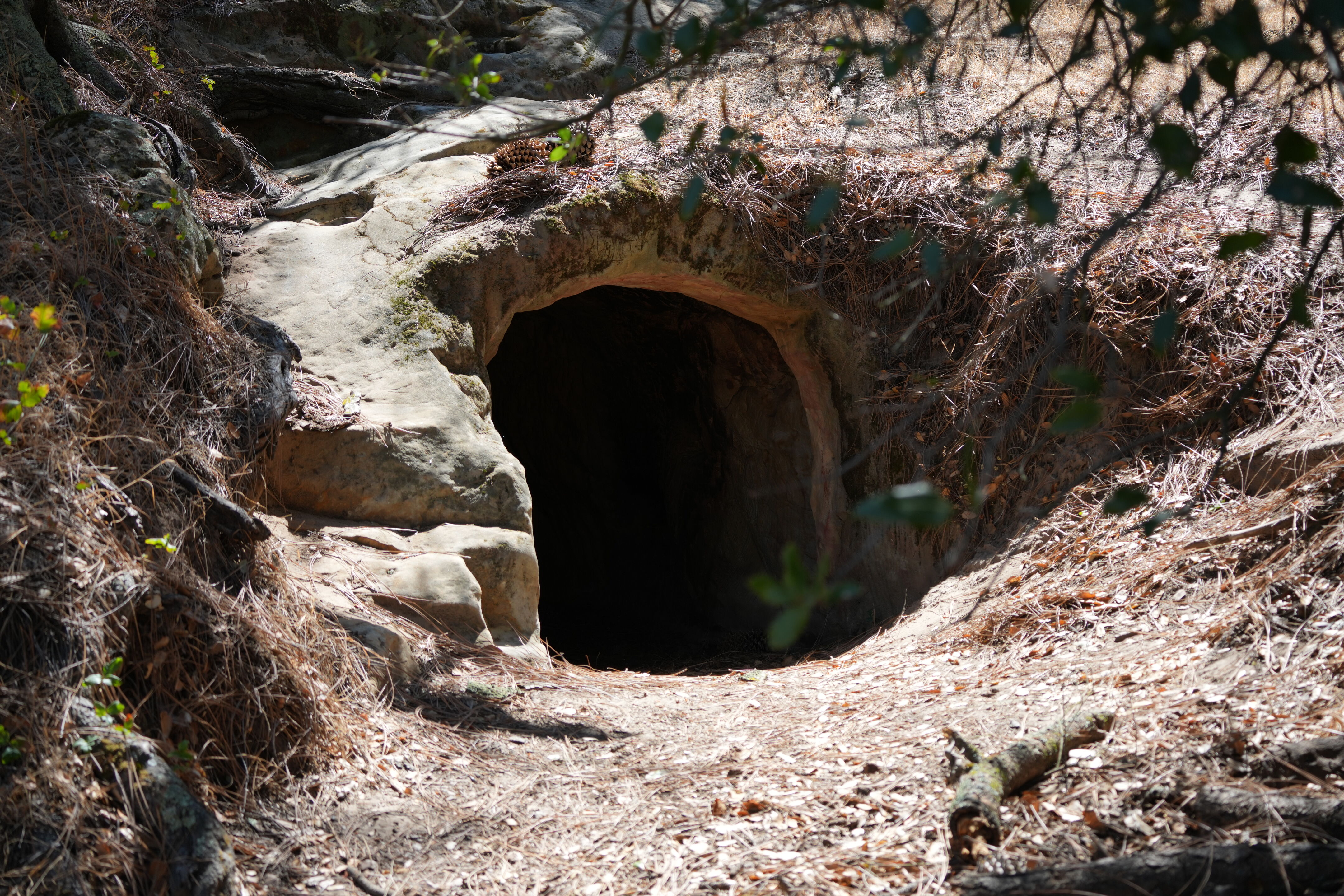 Black Diamond Mines Regional Preserve