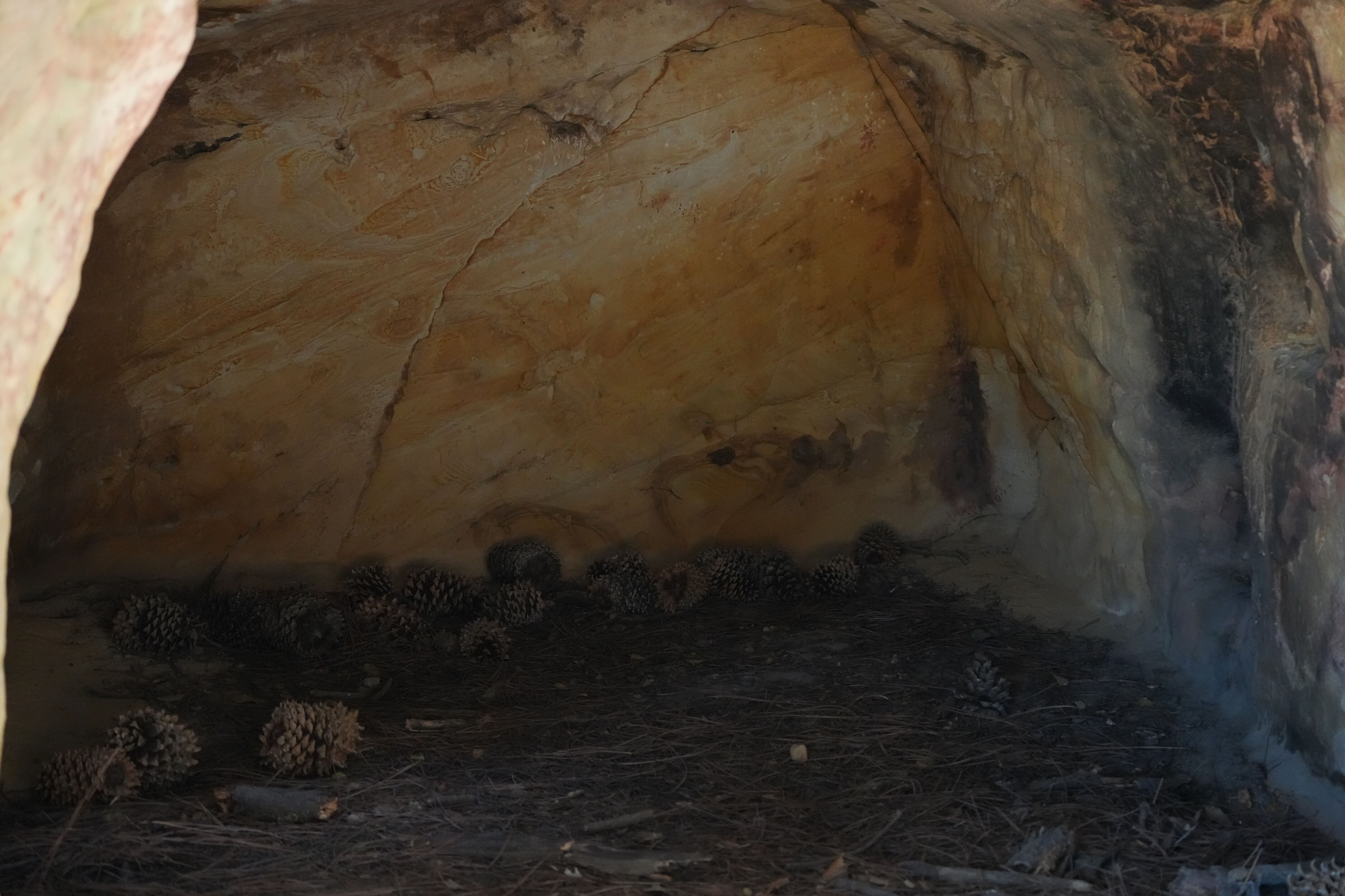 Black Diamond Mines Regional Preserve