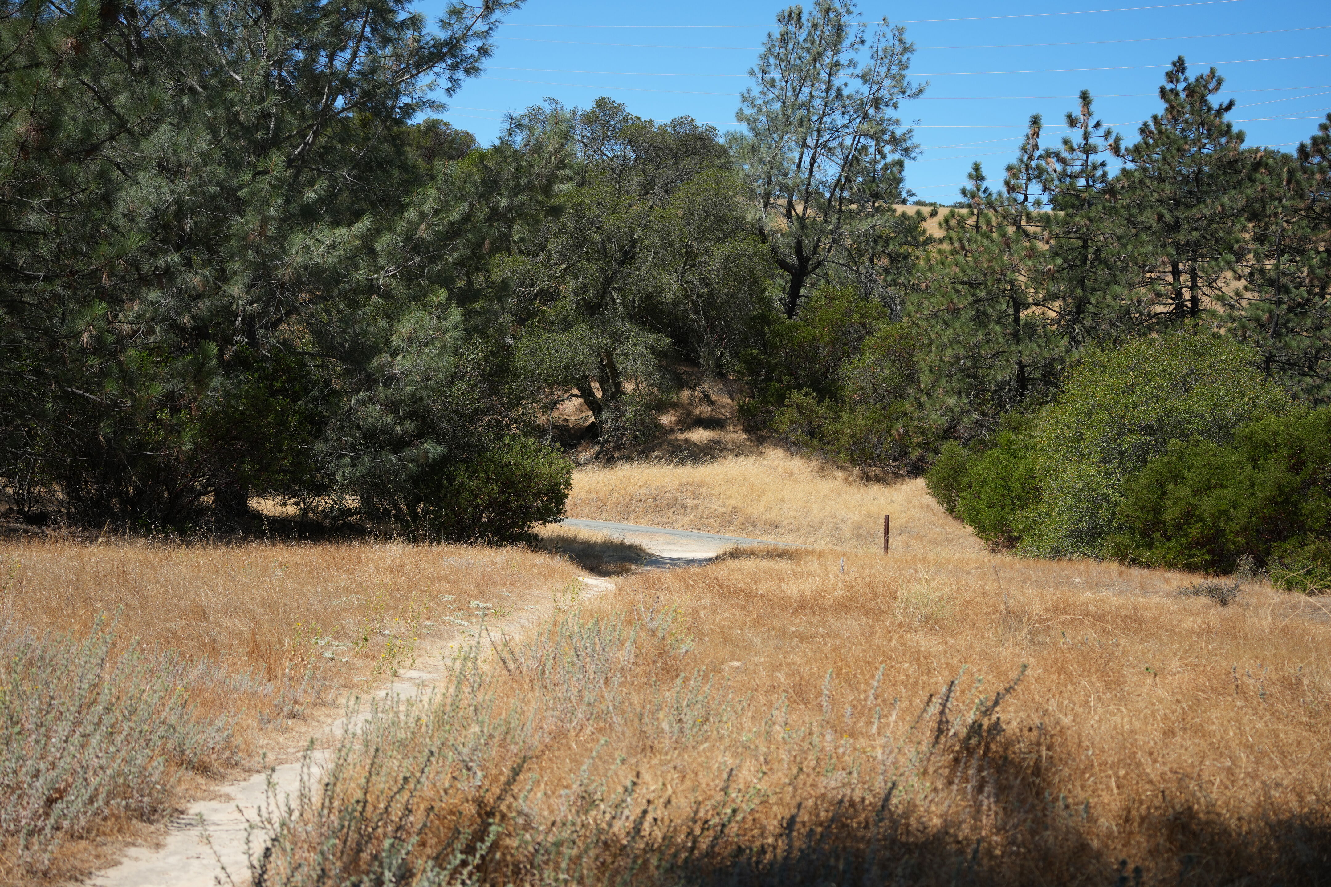 Black Diamond Mines Regional Preserve