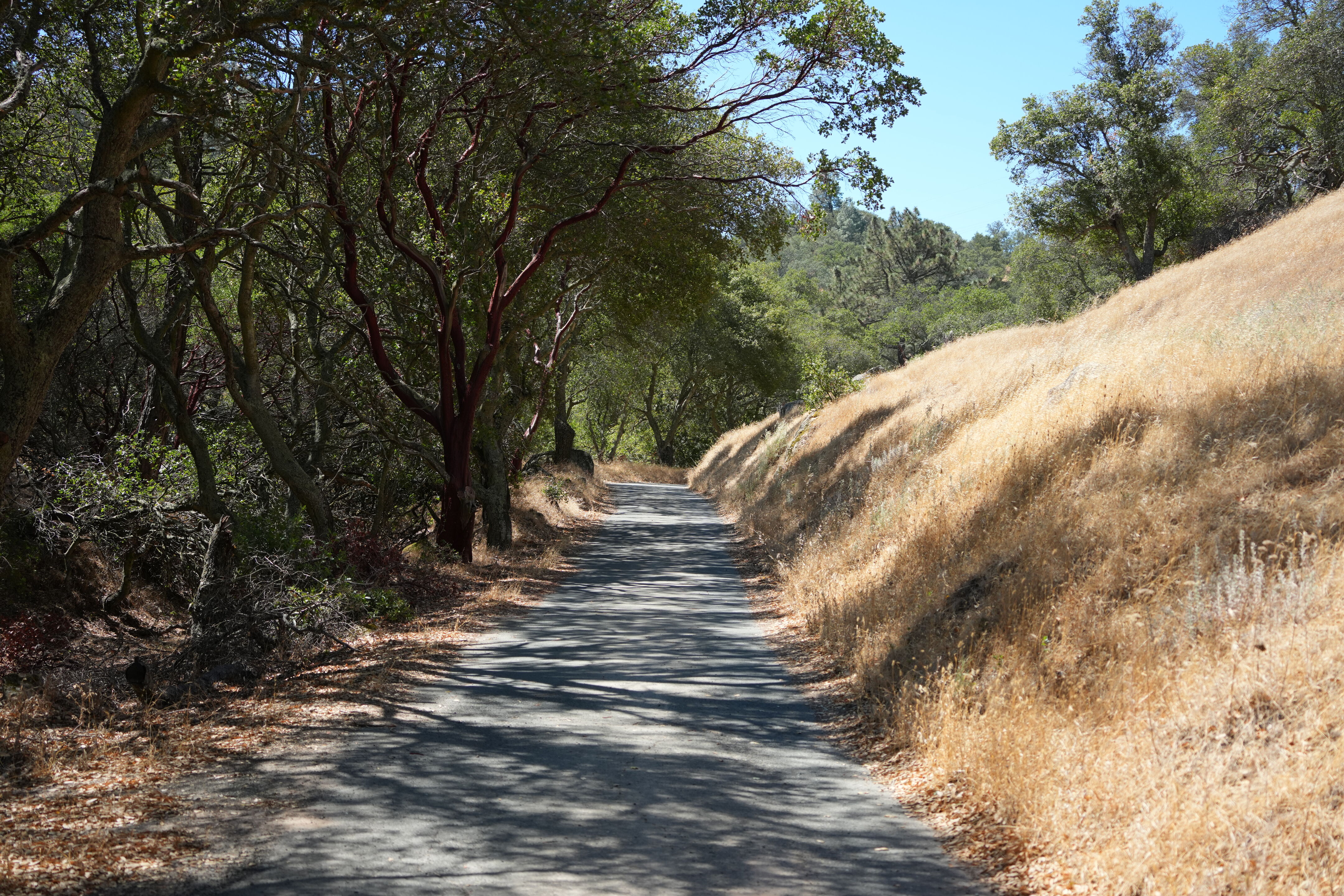 Black Diamond Mines Regional Preserve