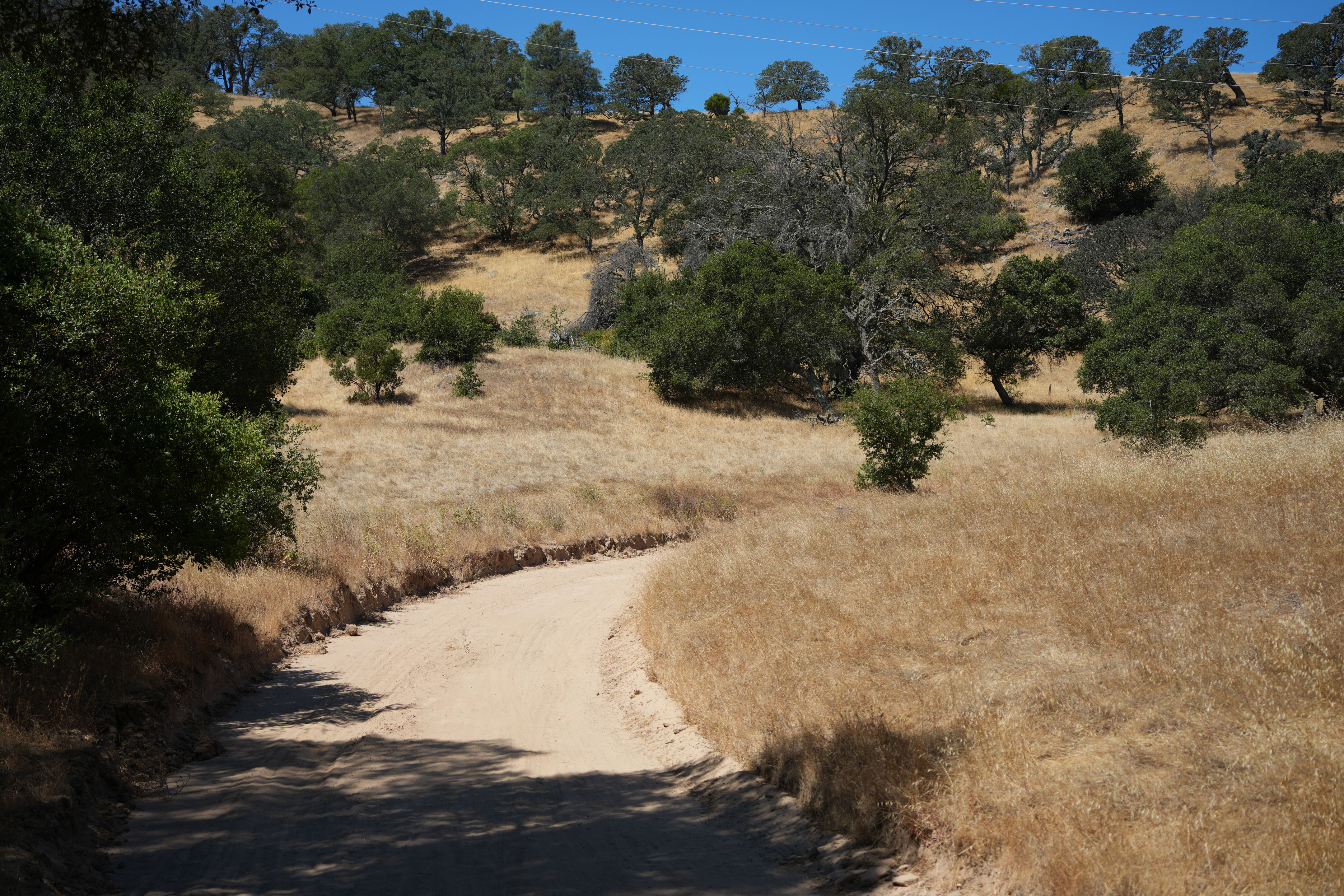 Black Diamond Mines Regional Preserve