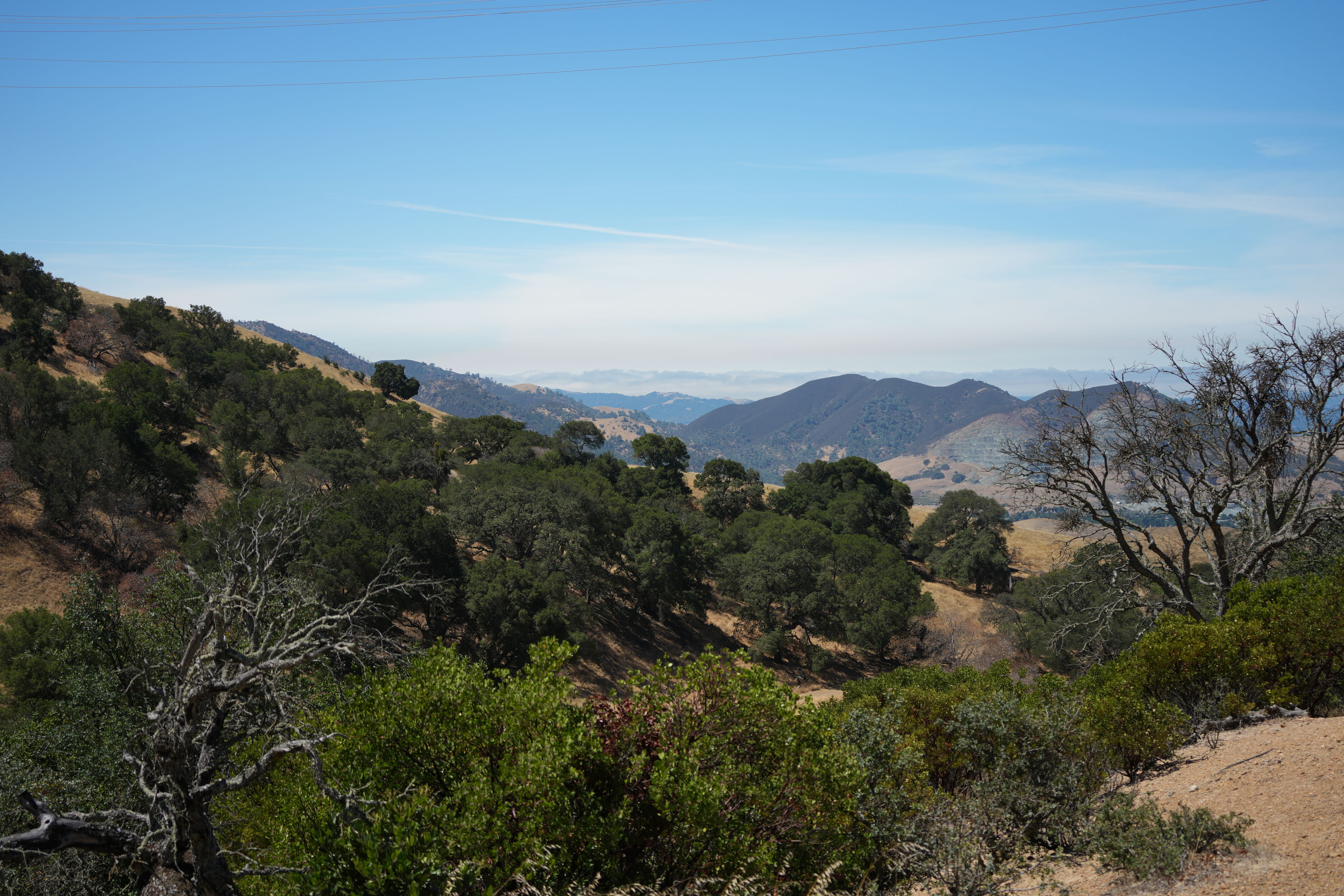 Black Diamond Mines Regional Preserve