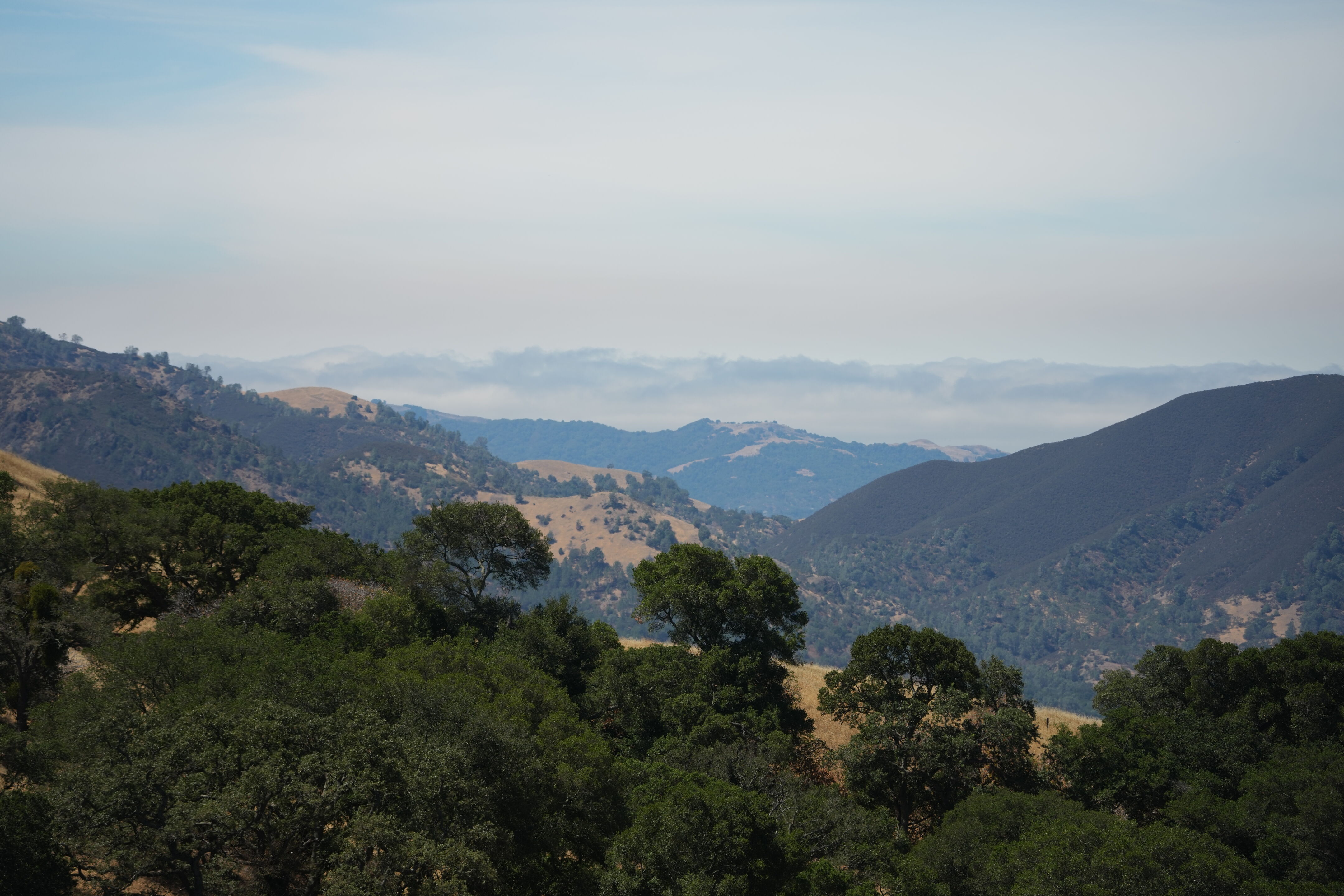 Black Diamond Mines Regional Preserve