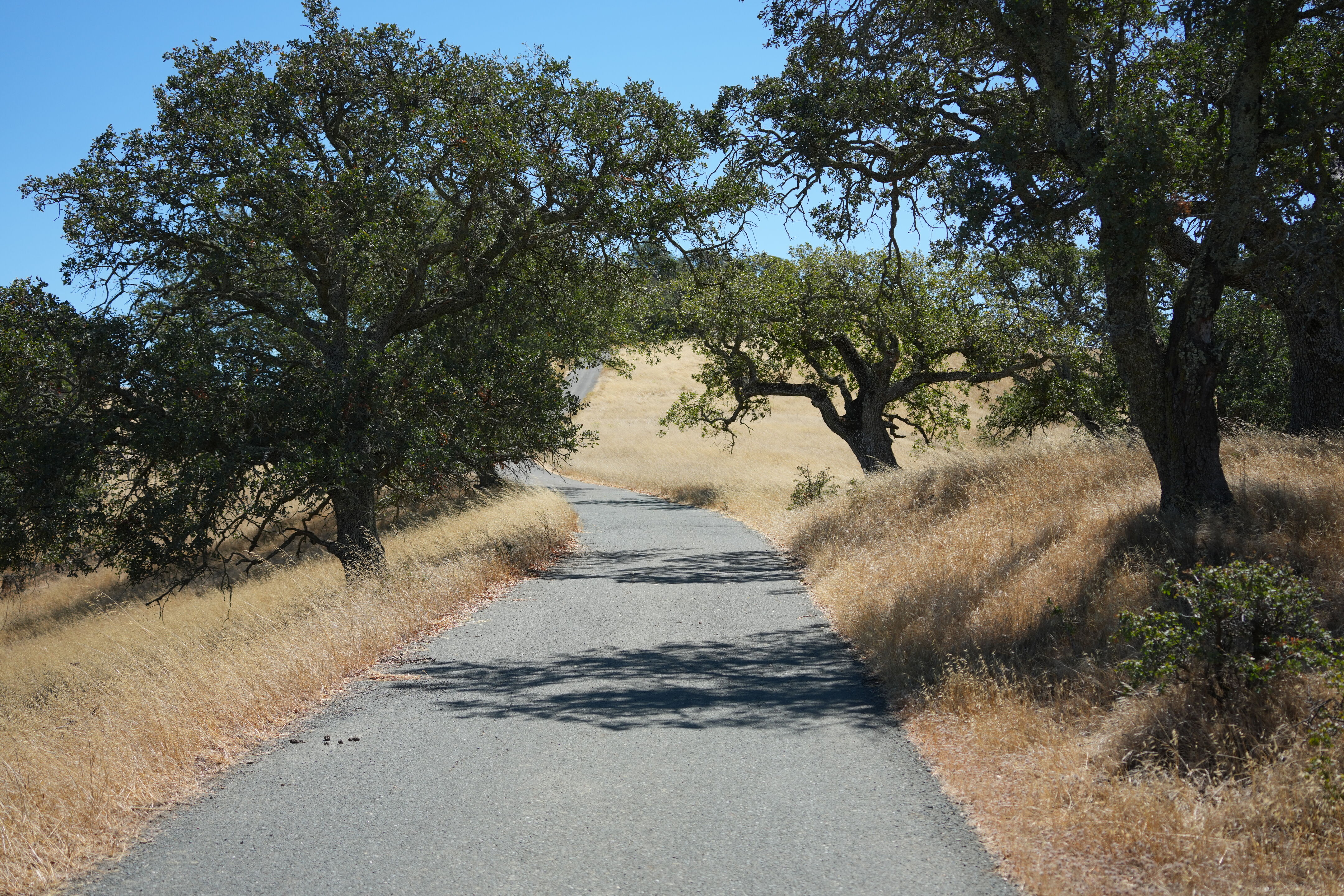 Black Diamond Mines Regional Preserve