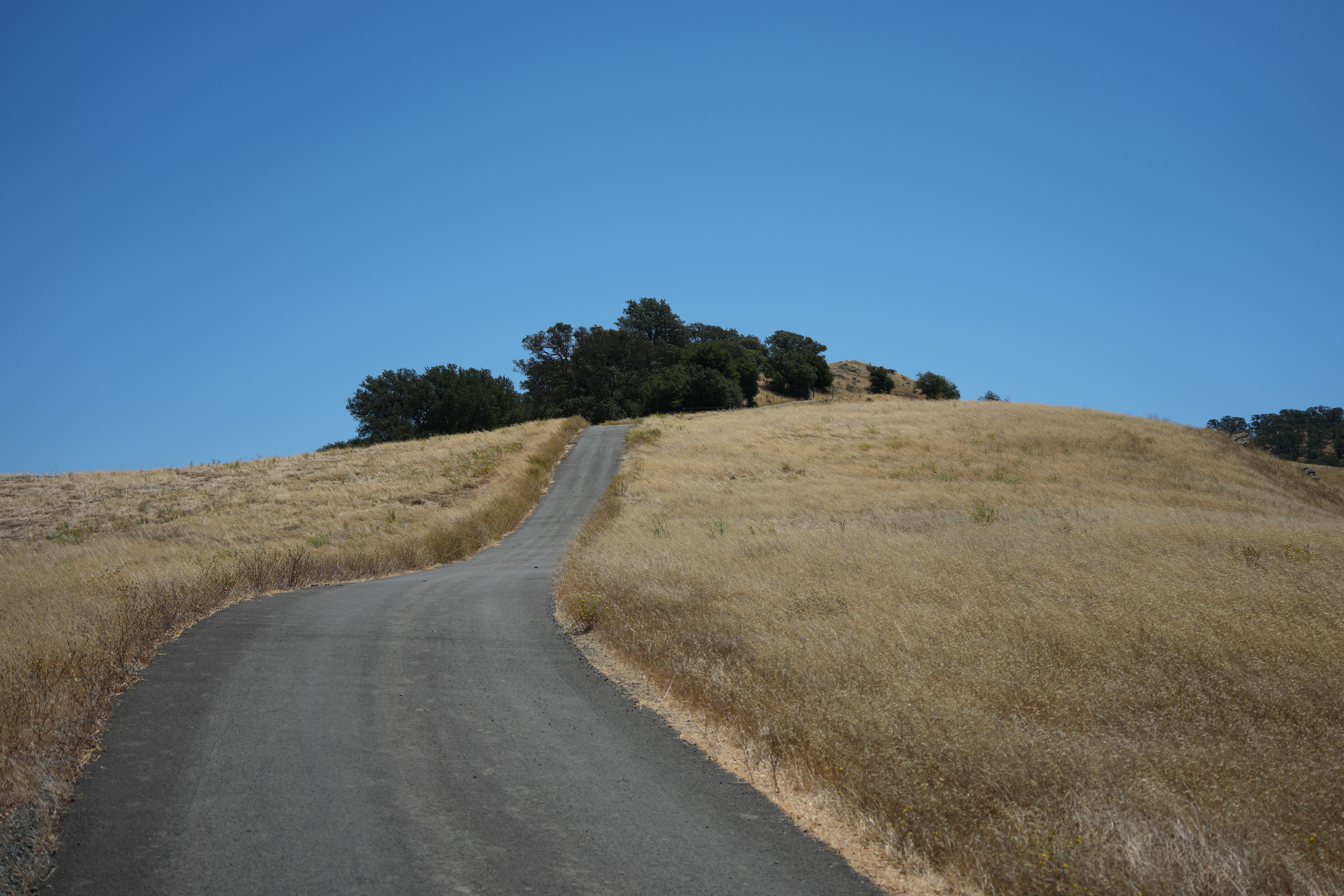 Black Diamond Mines Regional Preserve