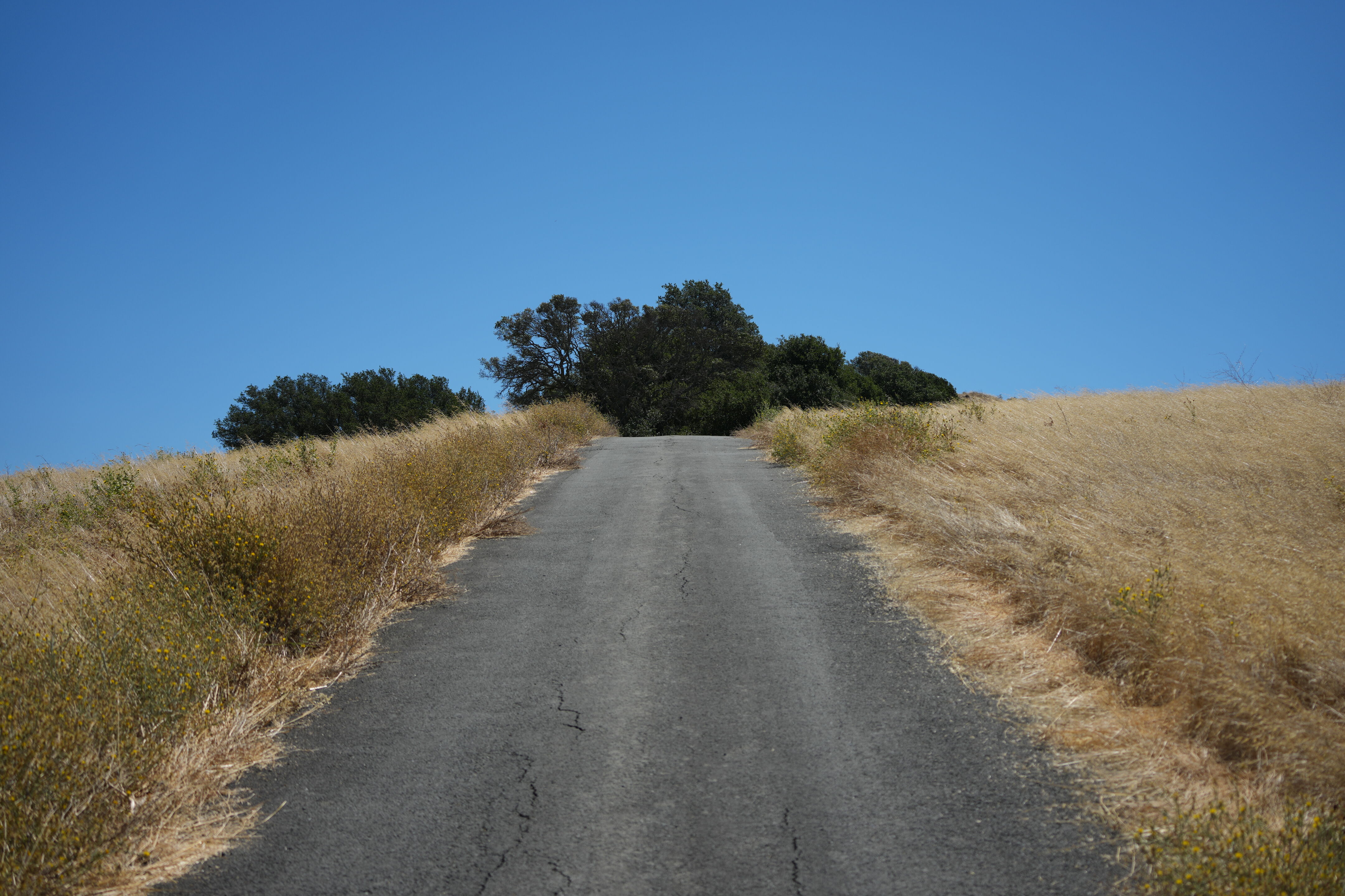 Black Diamond Mines Regional Preserve