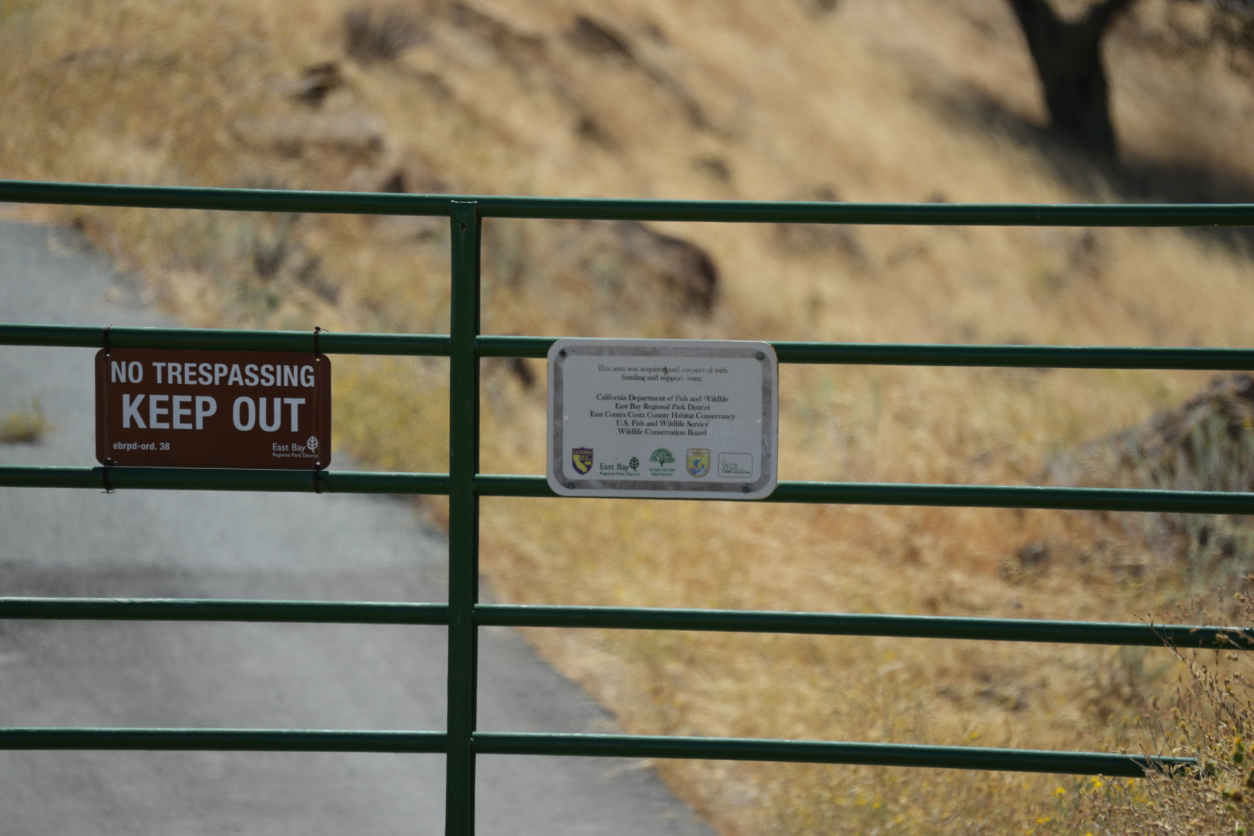 Black Diamond Mines Regional Preserve