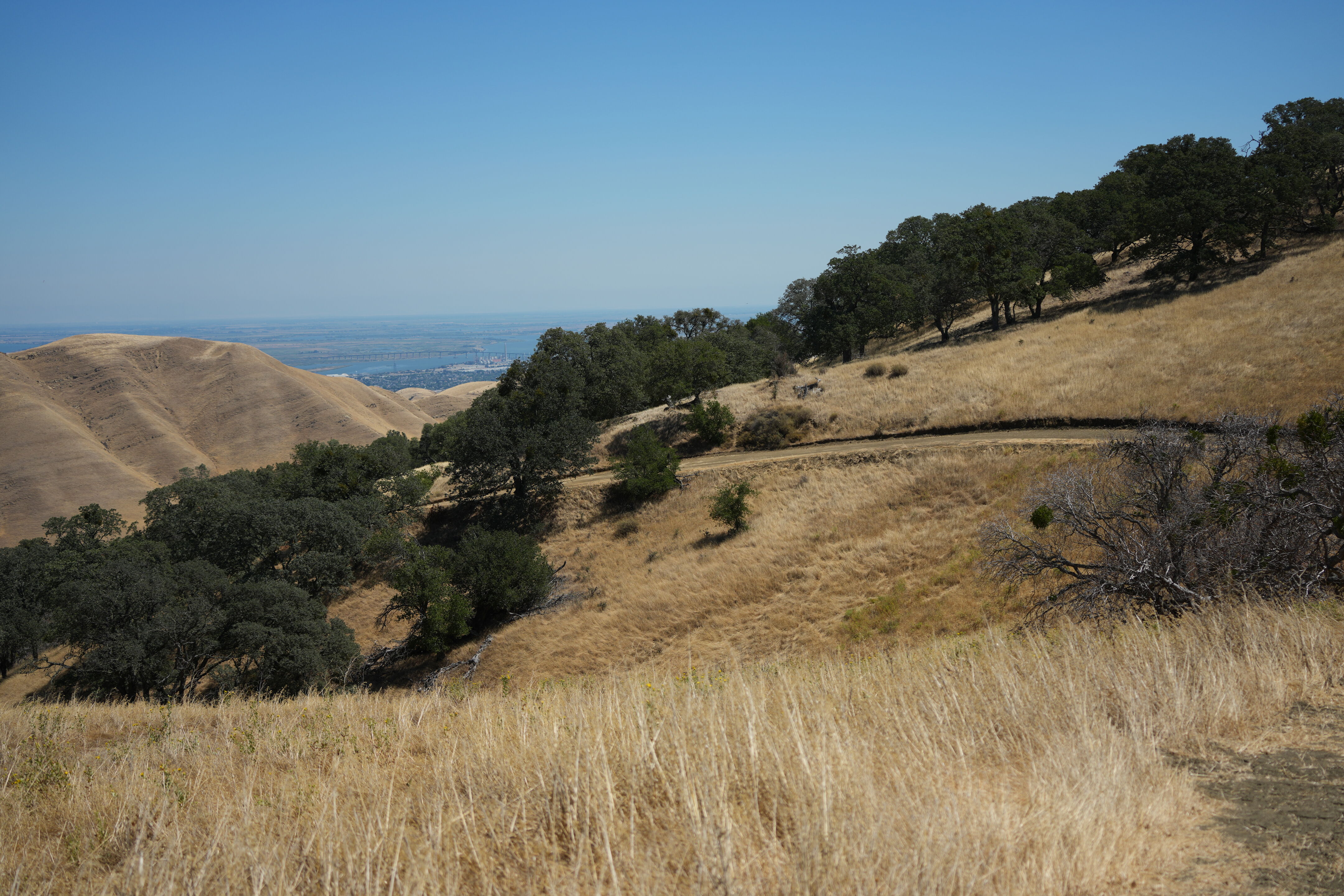 Black Diamond Mines Regional Preserve