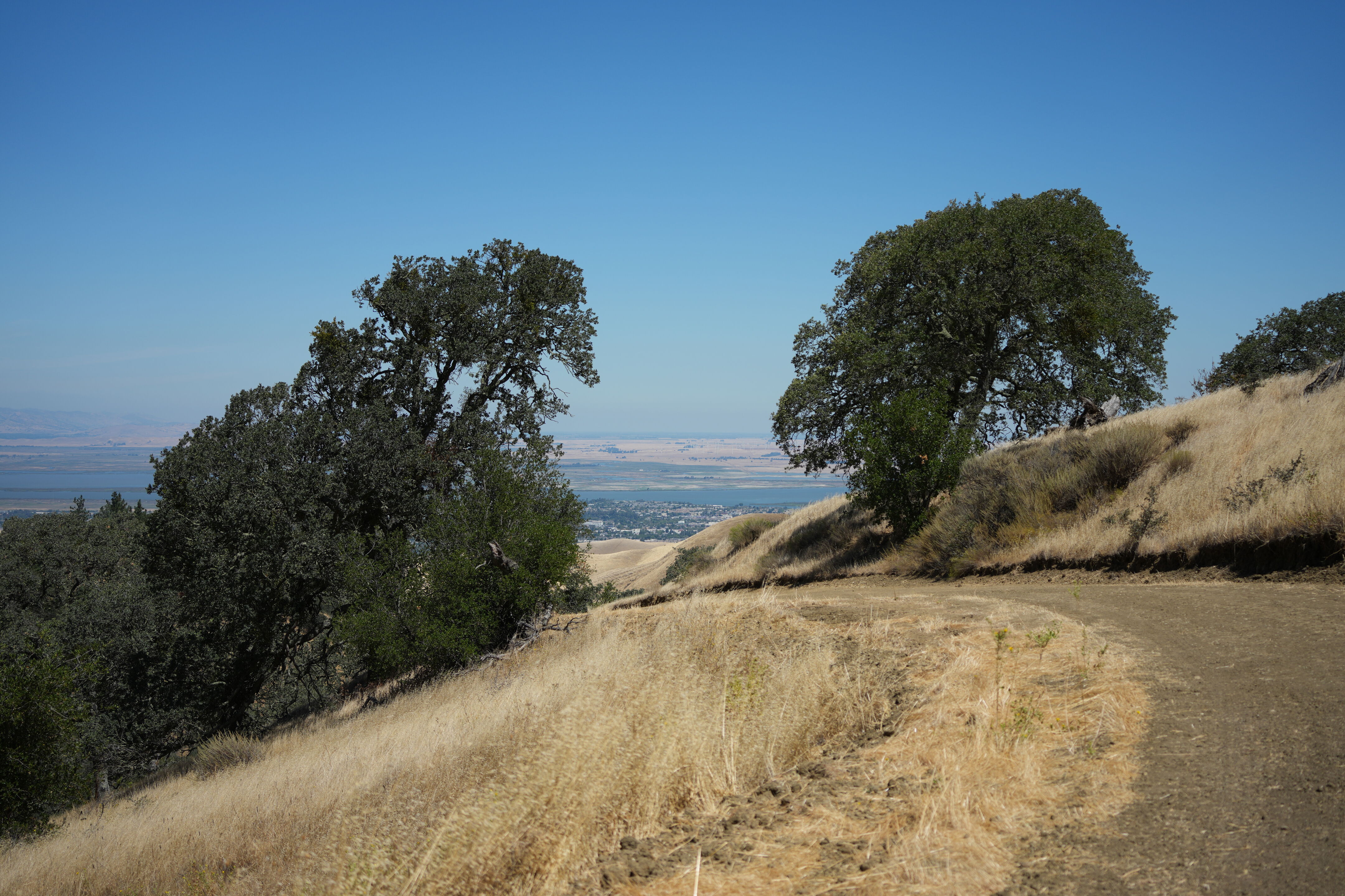 Black Diamond Mines Regional Preserve