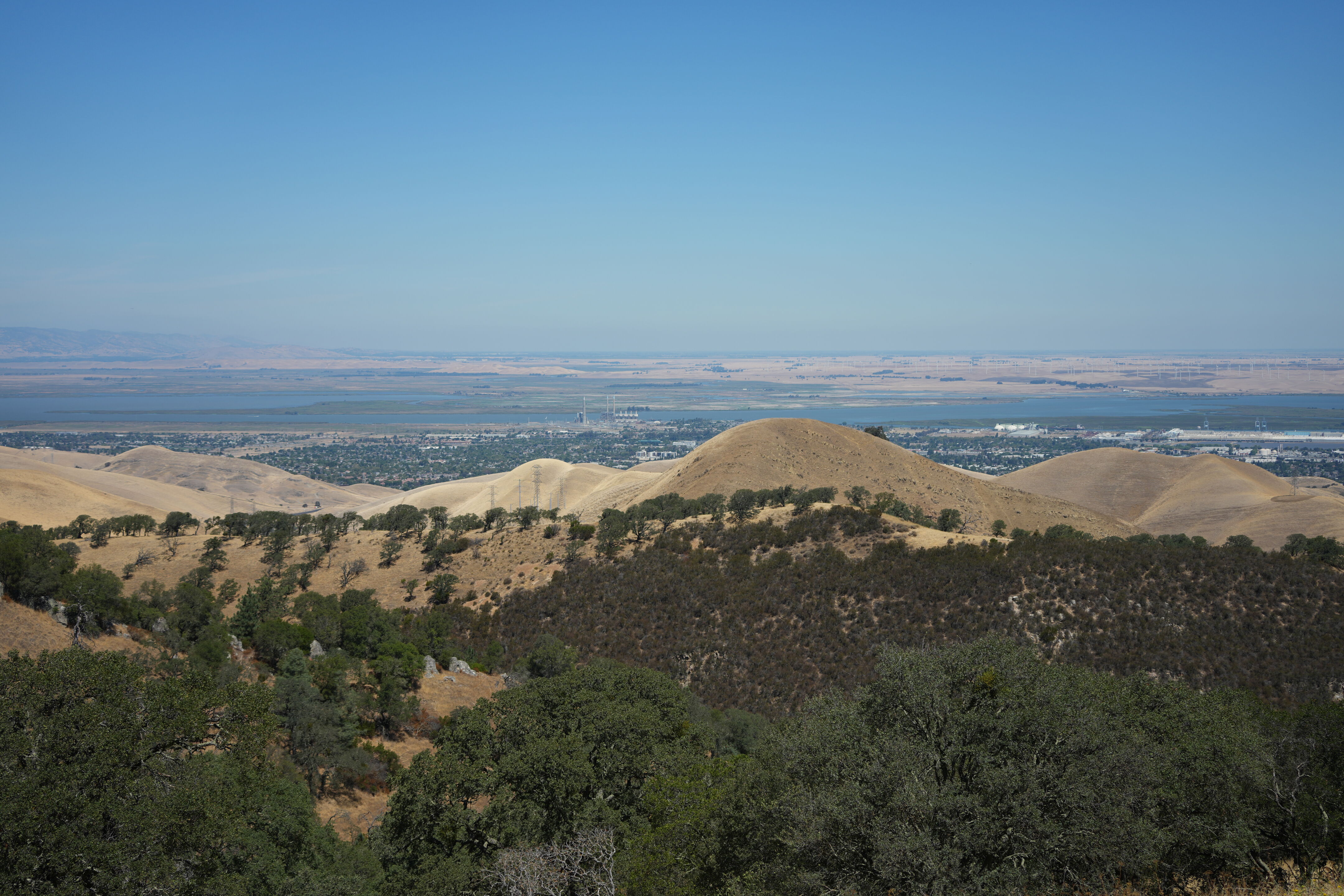 Black Diamond Mines Regional Preserve