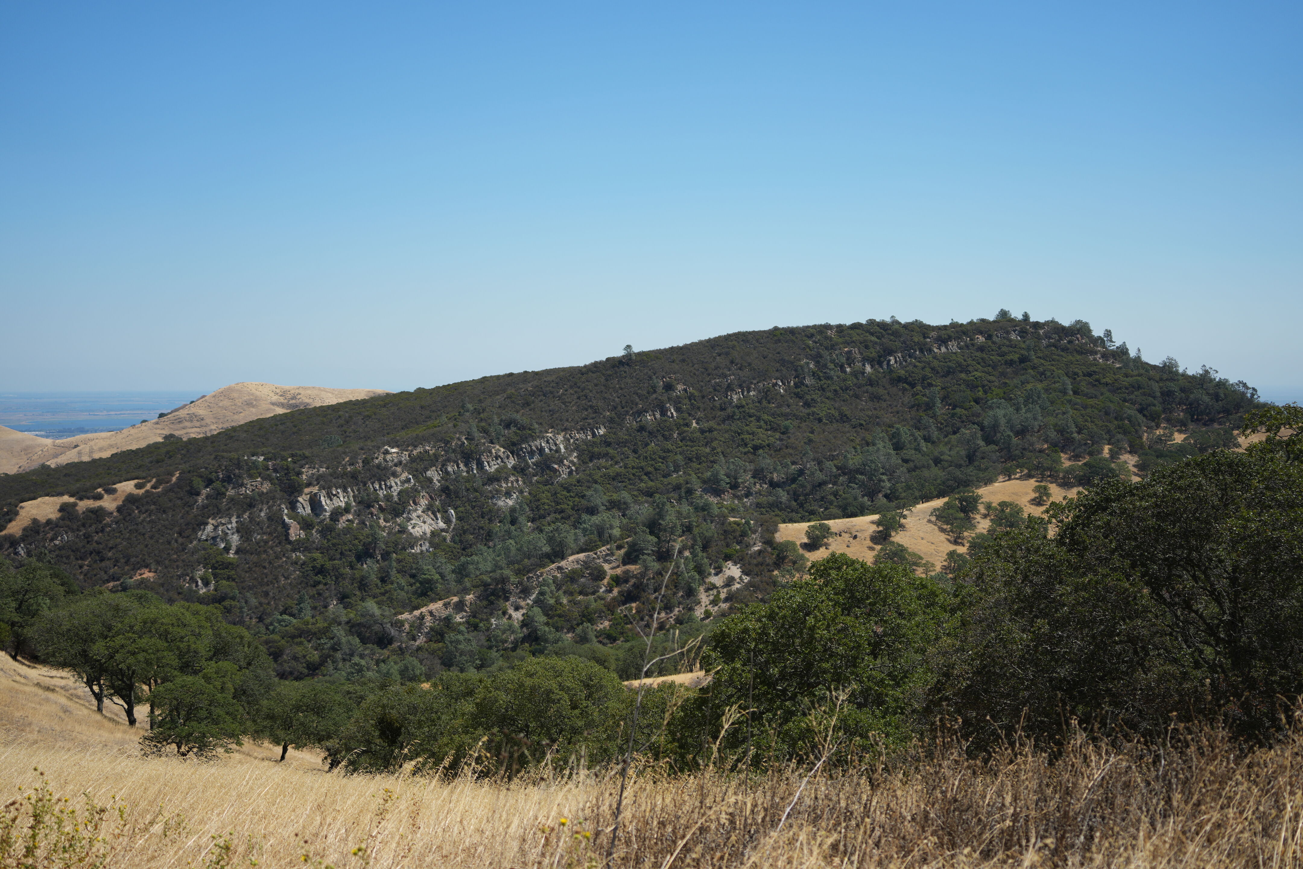 Black Diamond Mines Regional Preserve
