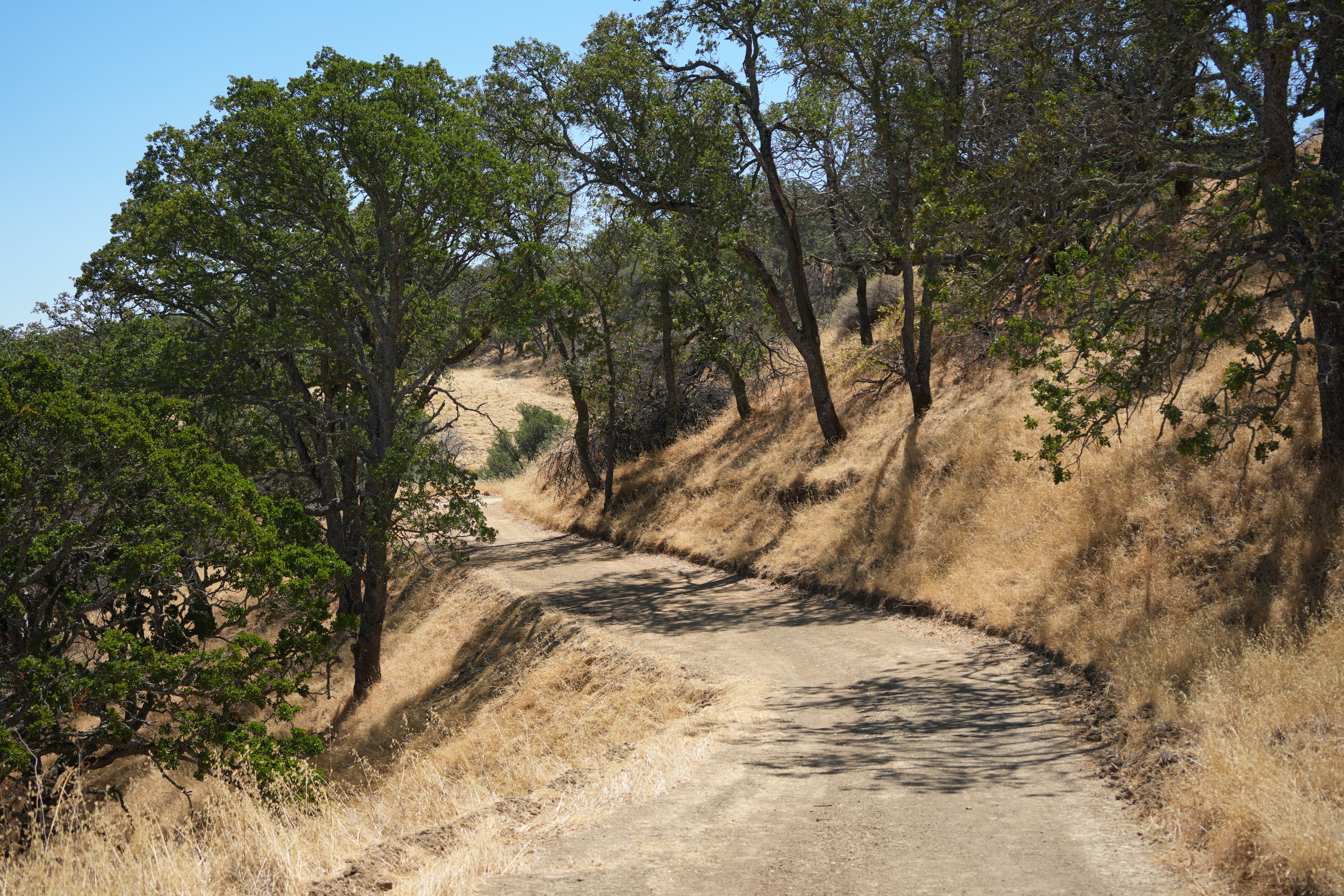 Black Diamond Mines Regional Preserve