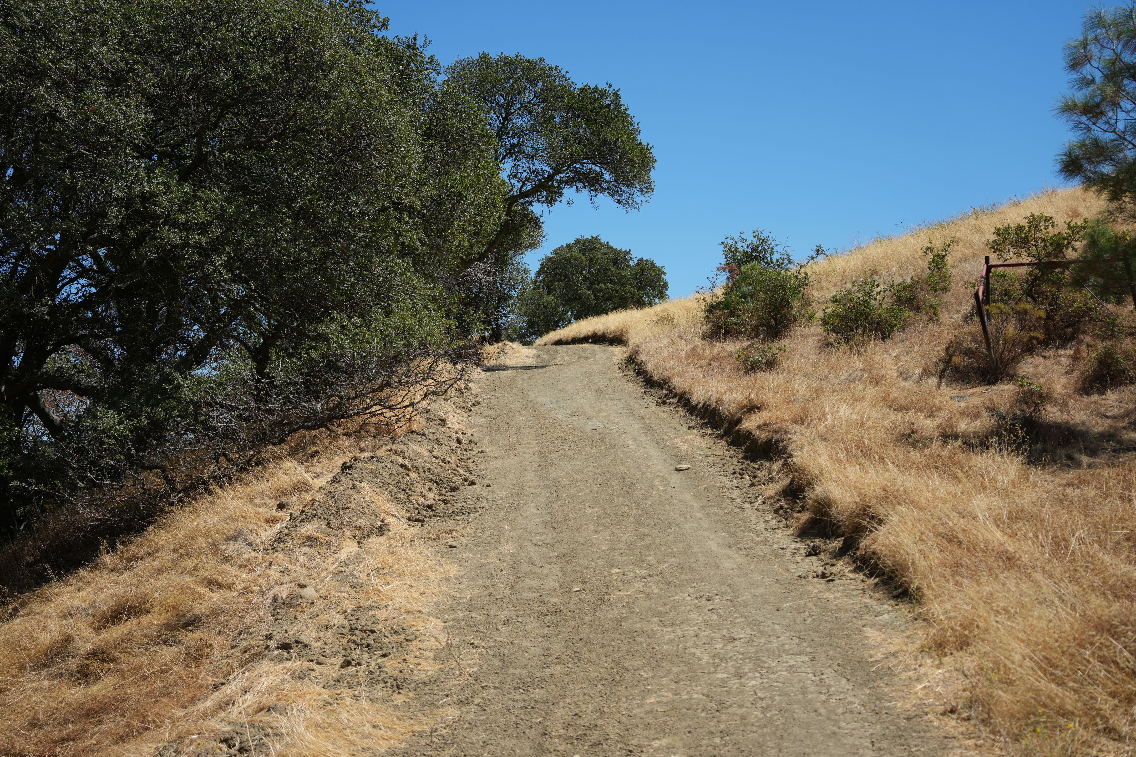 Black Diamond Mines Regional Preserve