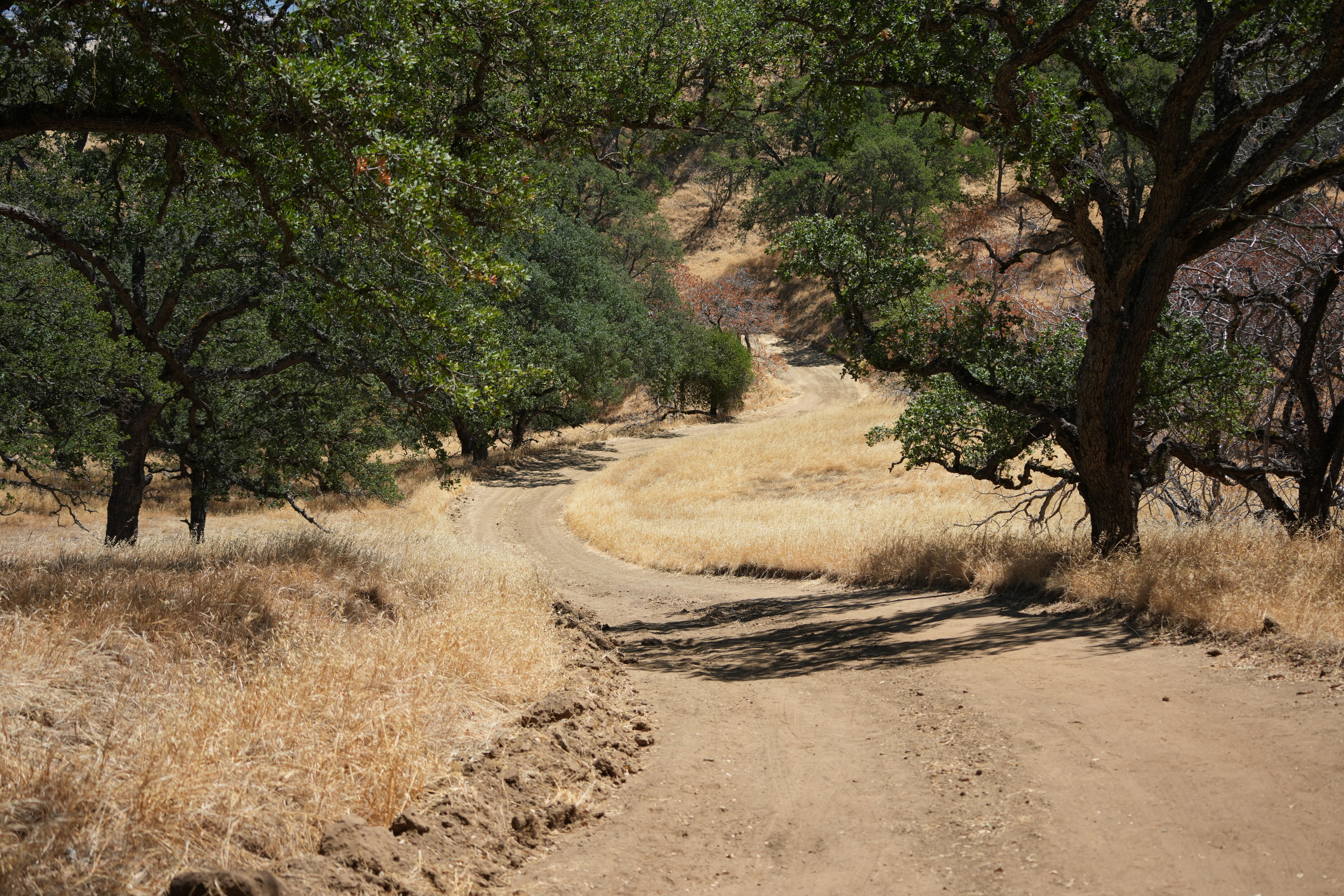 Black Diamond Mines Regional Preserve