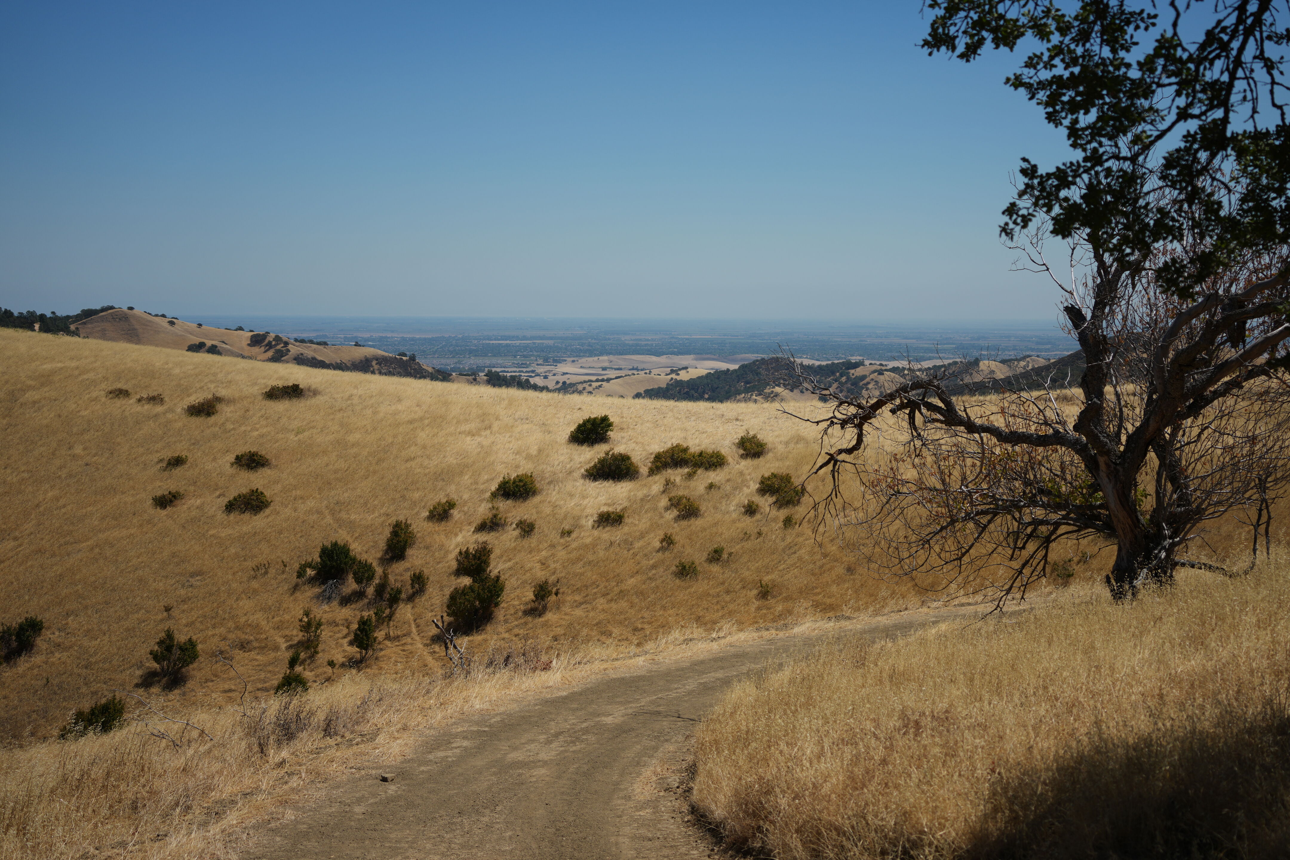 Black Diamond Mines Regional Preserve