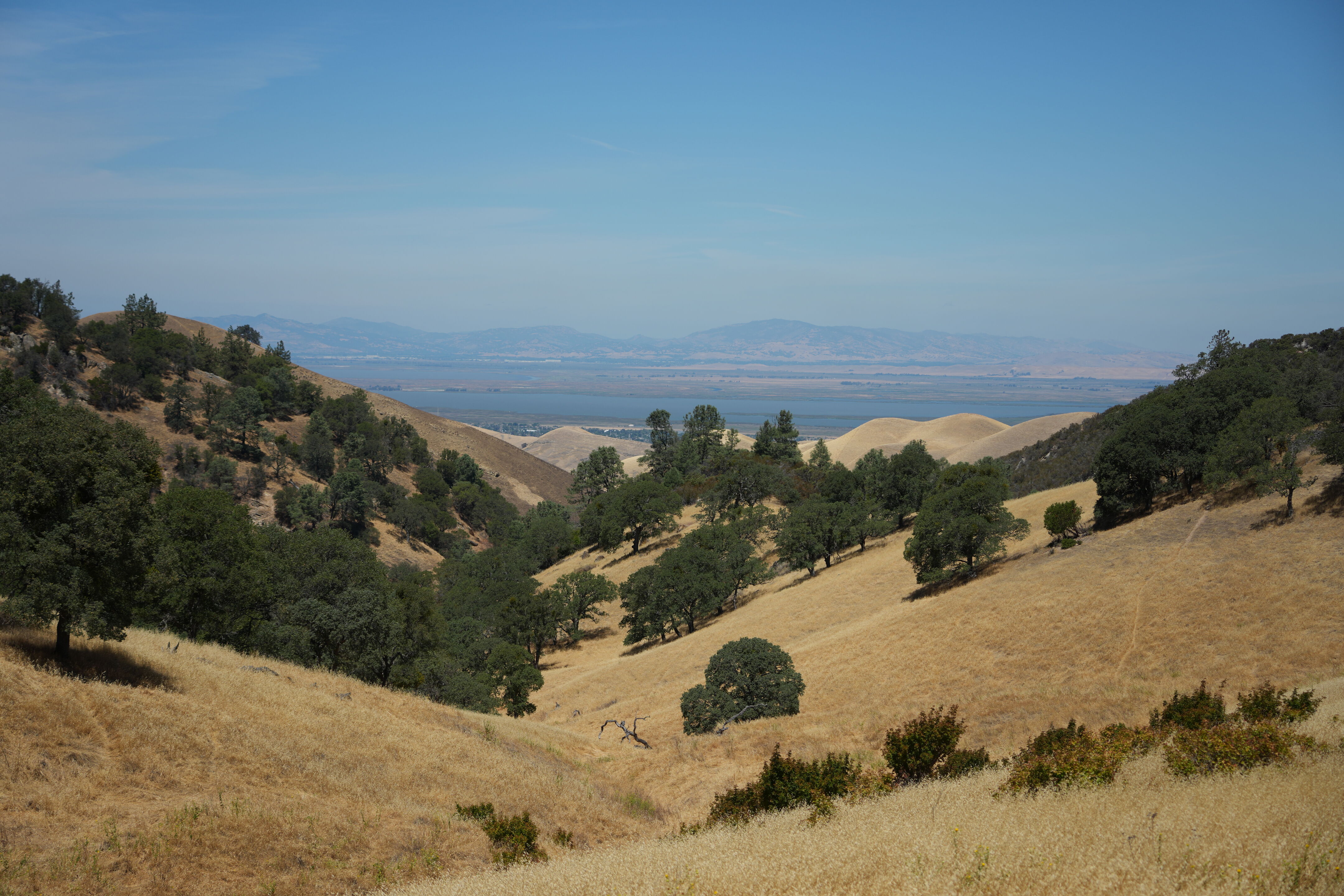 Black Diamond Mines Regional Preserve