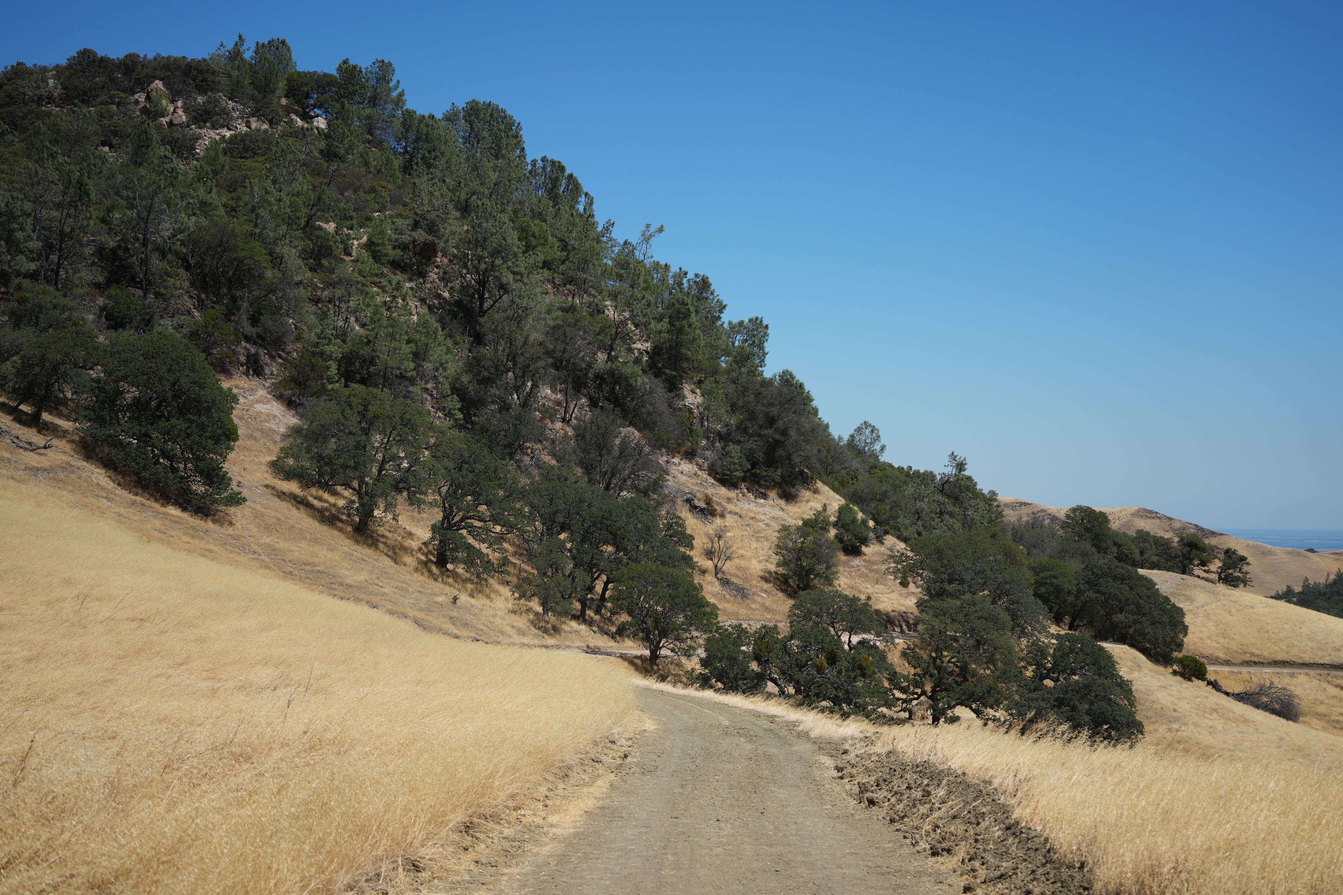 Black Diamond Mines Regional Preserve