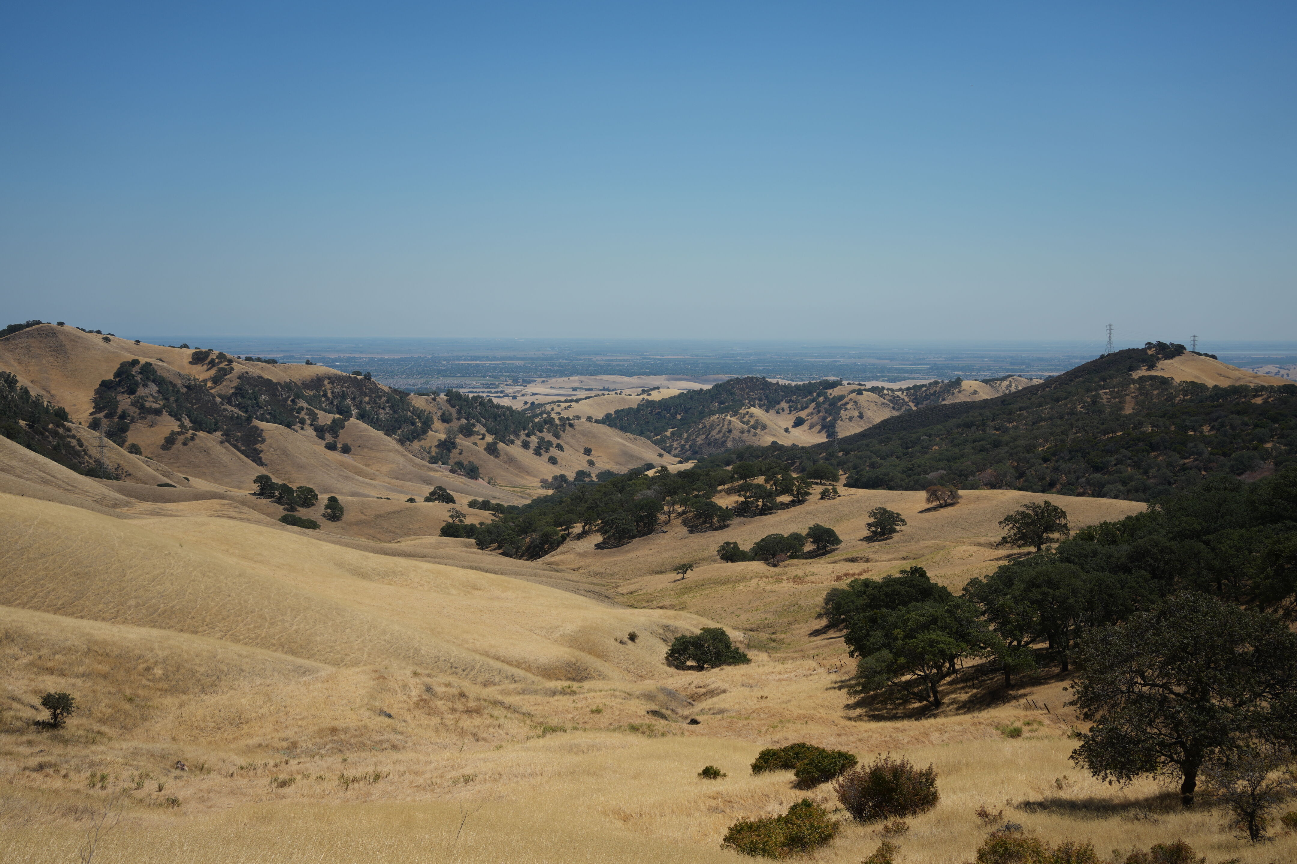 Black Diamond Mines Regional Preserve