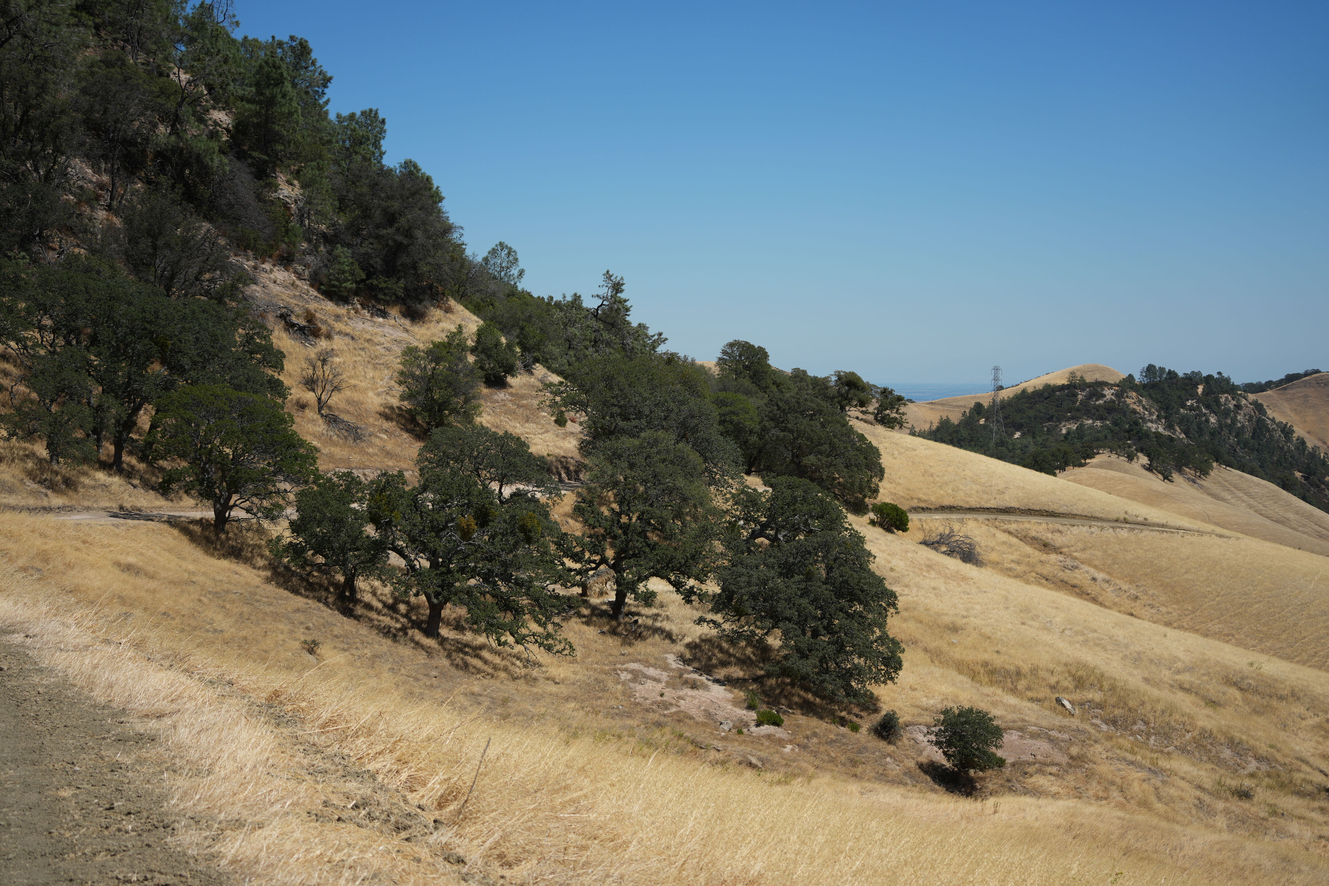 Black Diamond Mines Regional Preserve