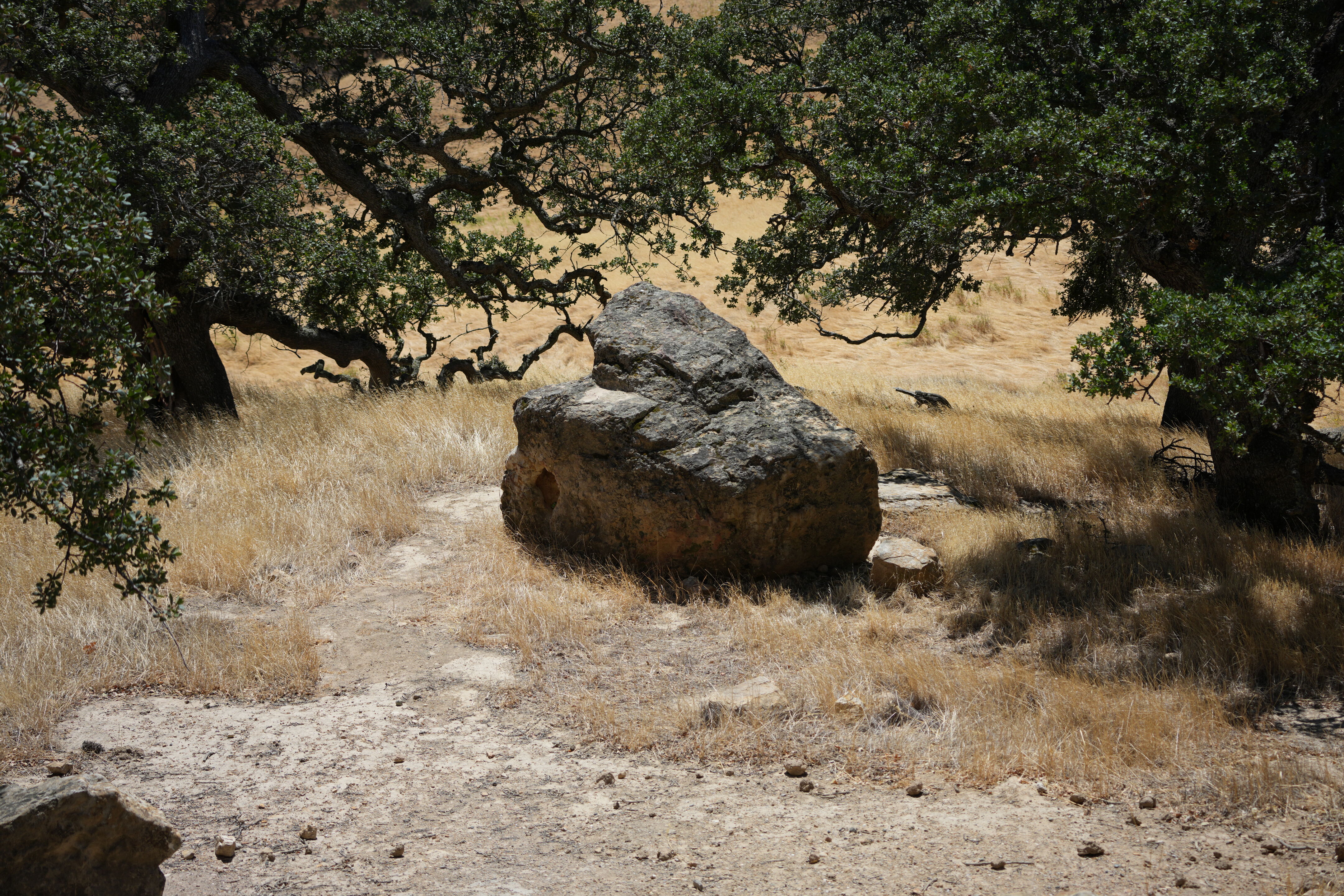 Black Diamond Mines Regional Preserve
