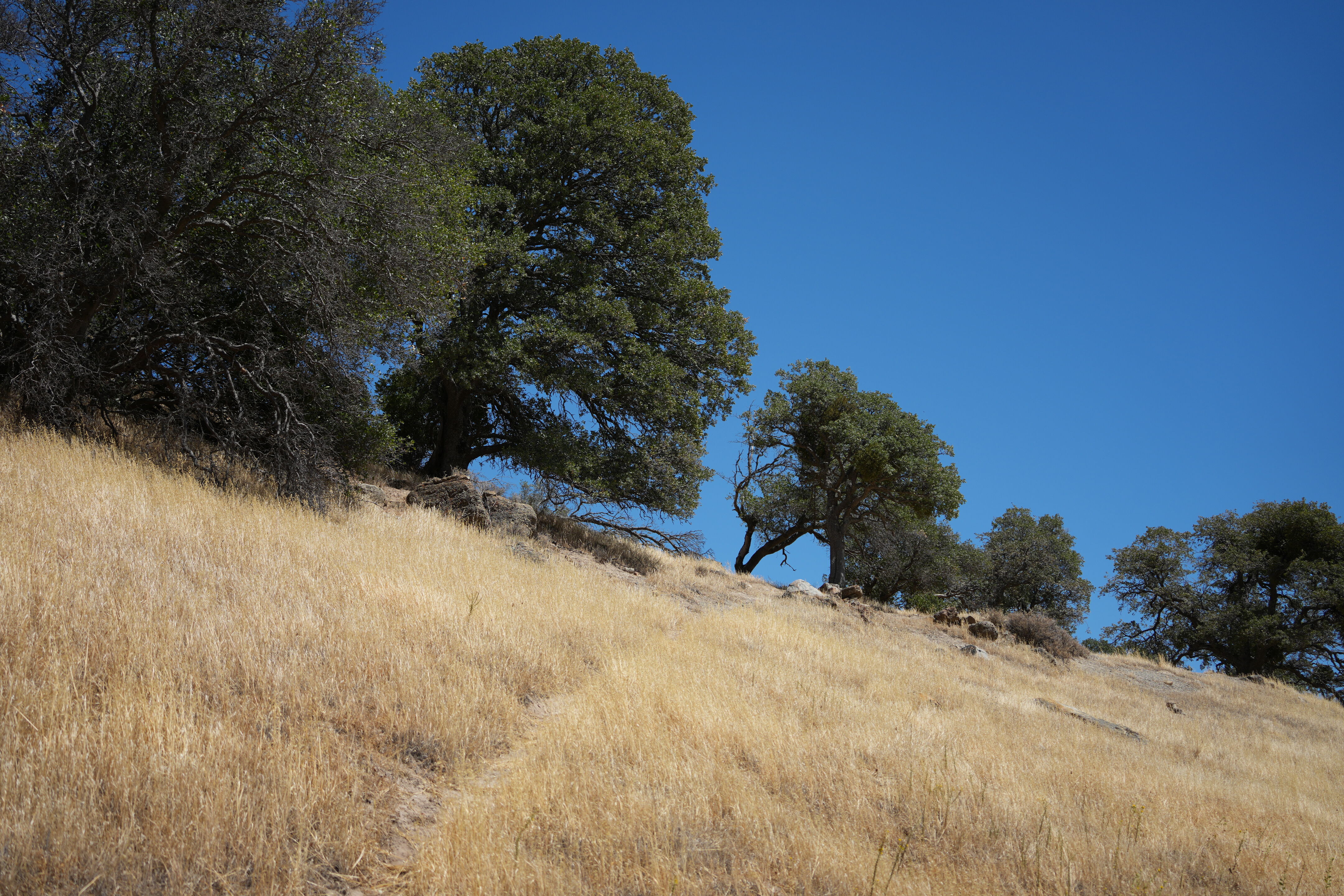 Black Diamond Mines Regional Preserve