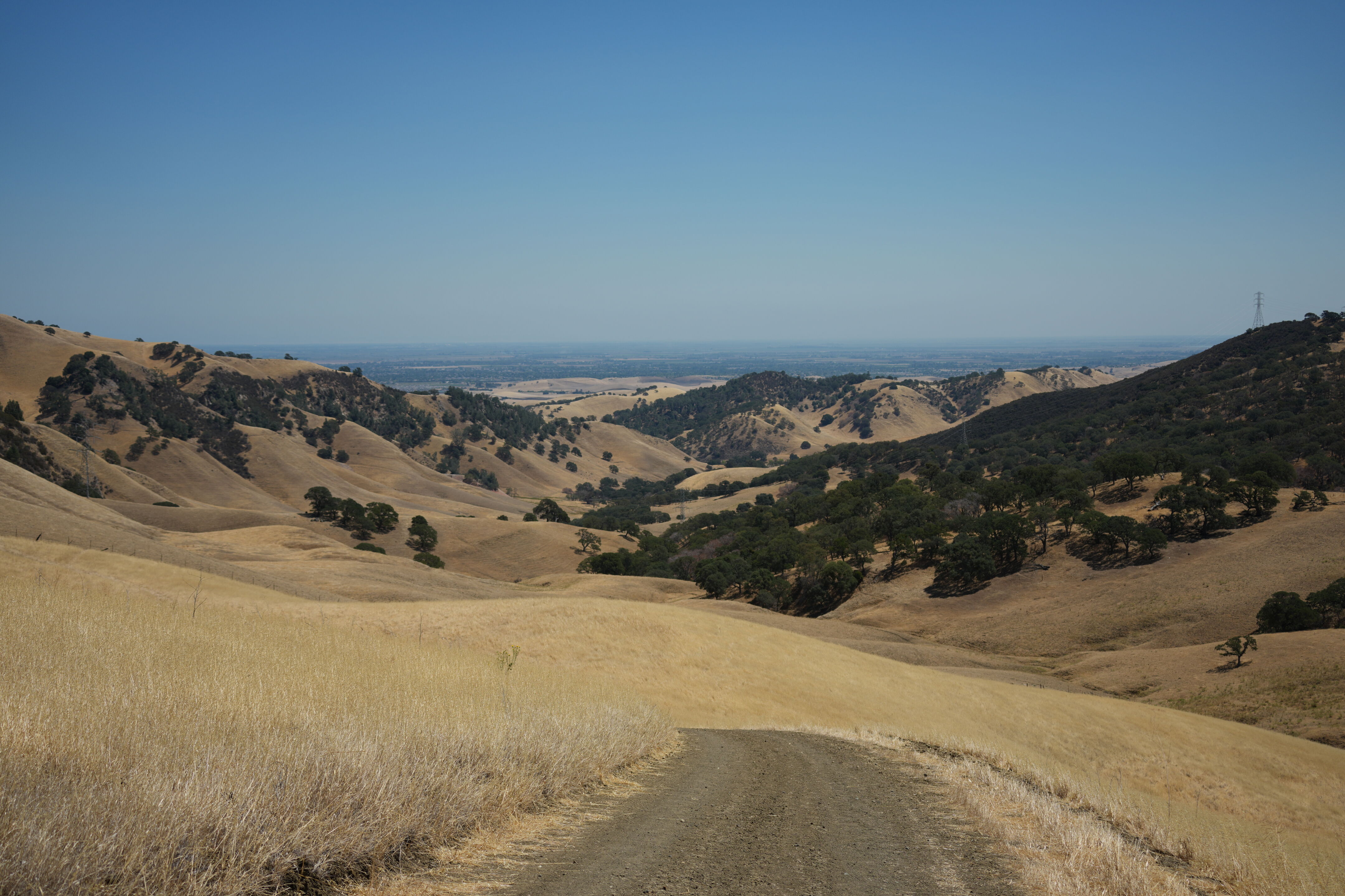 Black Diamond Mines Regional Preserve
