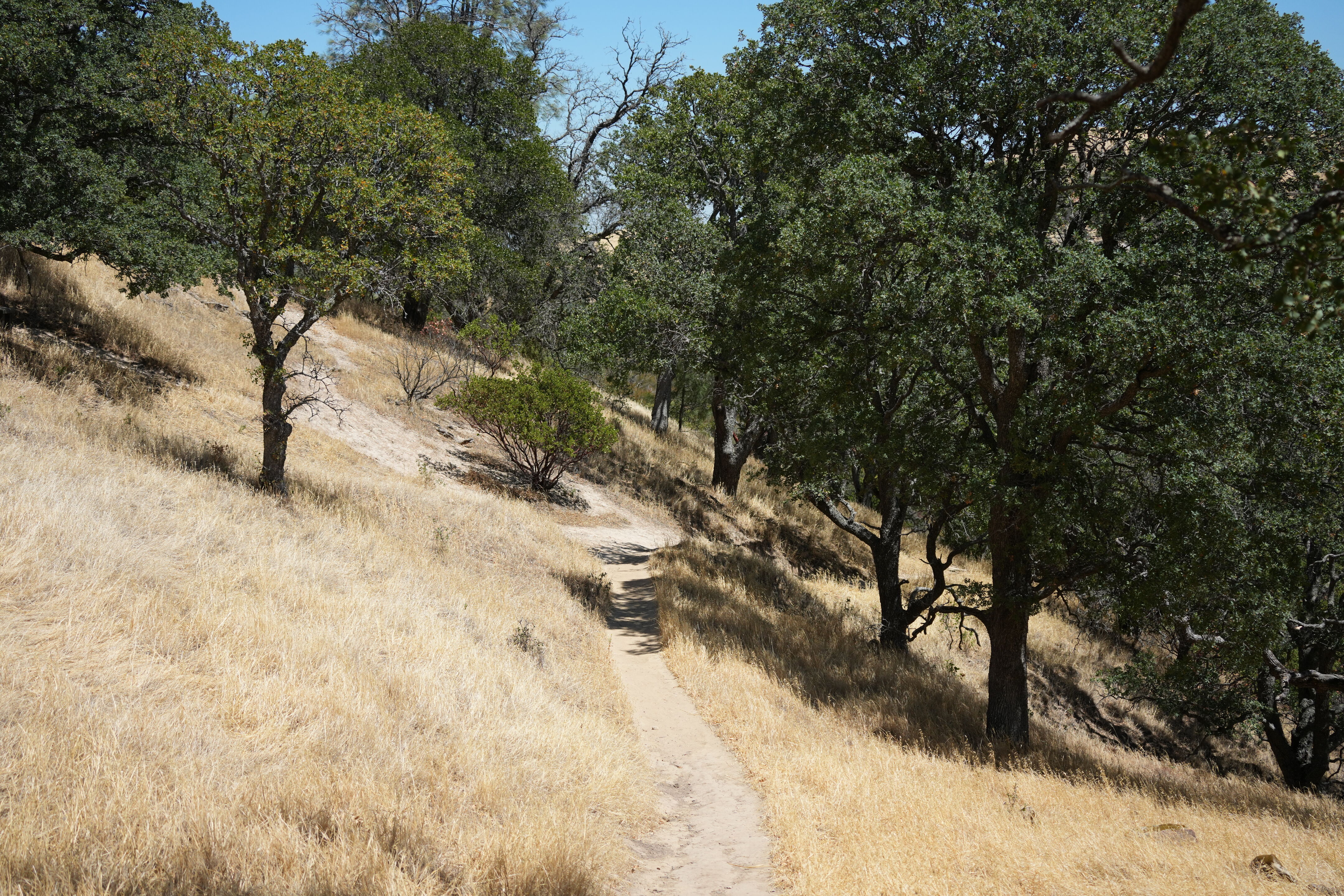 Black Diamond Mines Regional Preserve