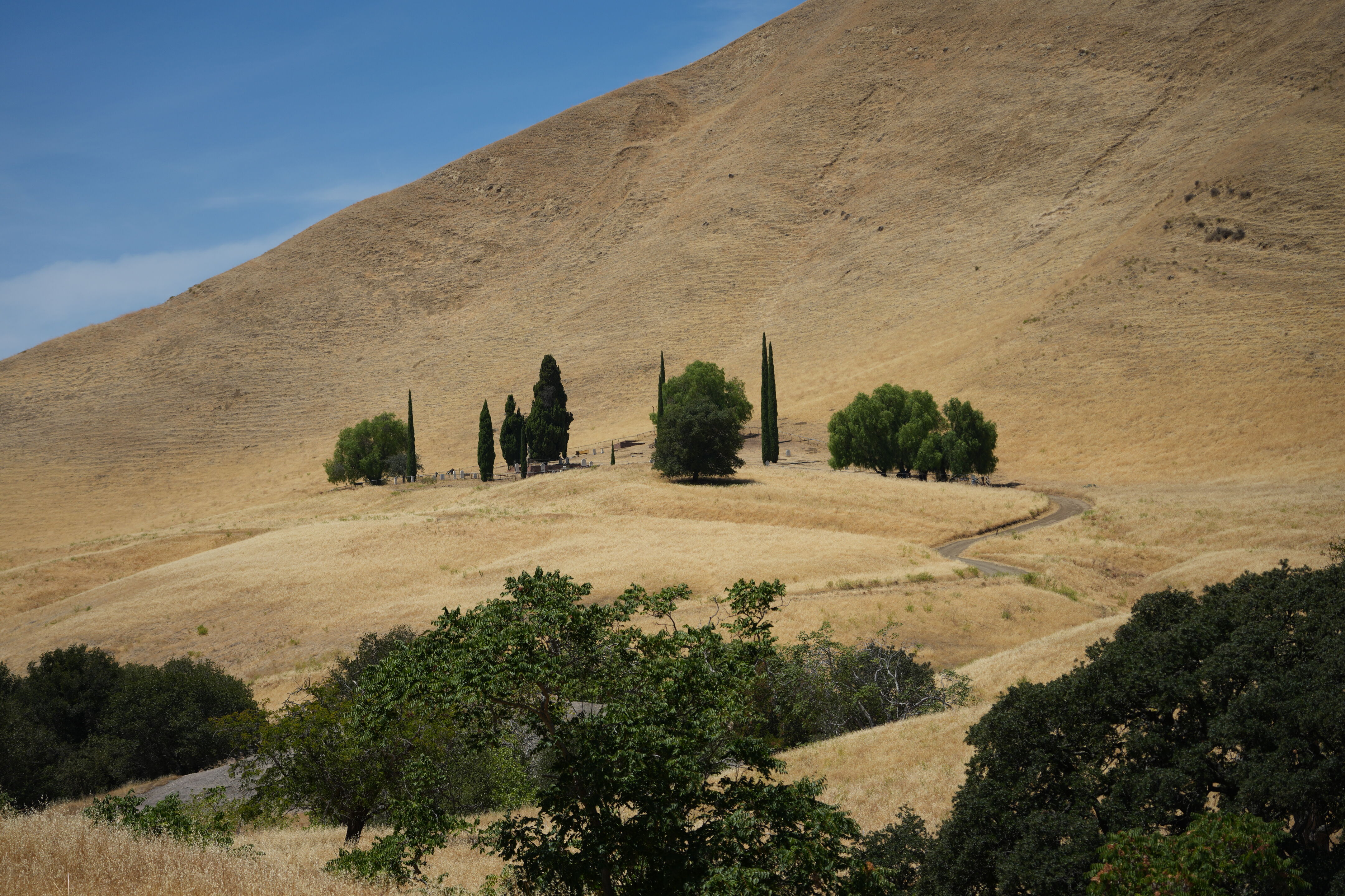 Black Diamond Mines Regional Preserve