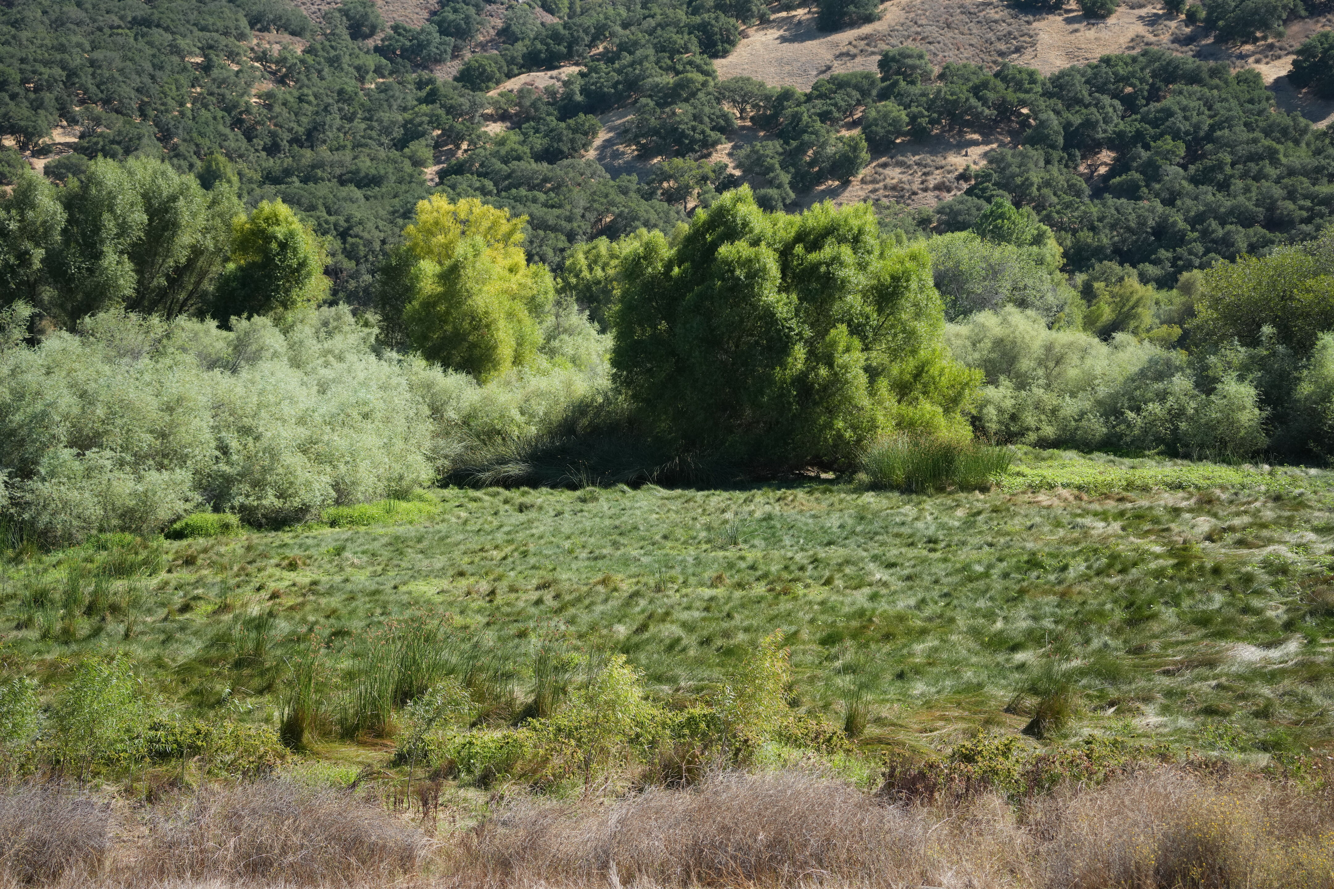 Coyote Lake Harvey Bear Ranch County Park