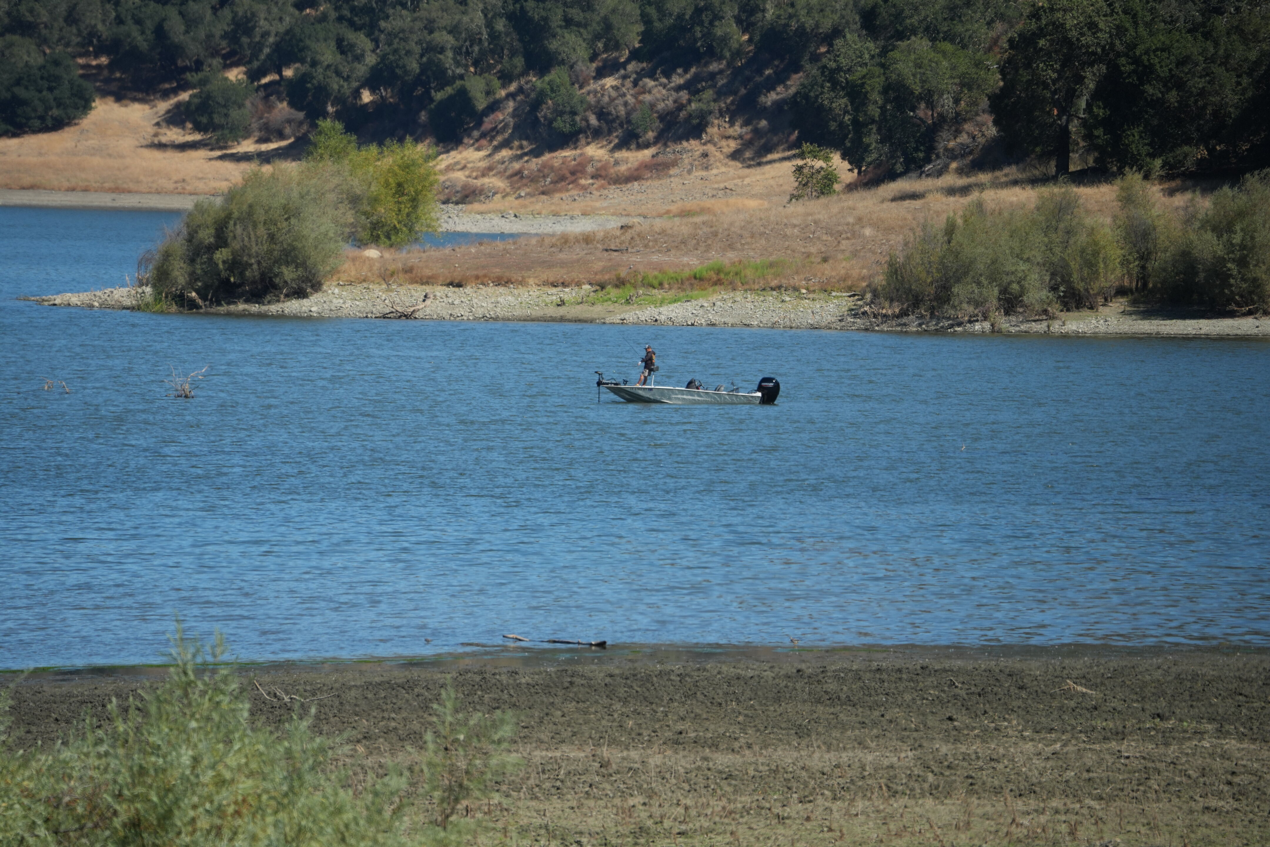 Coyote Lake Harvey Bear Ranch County Park