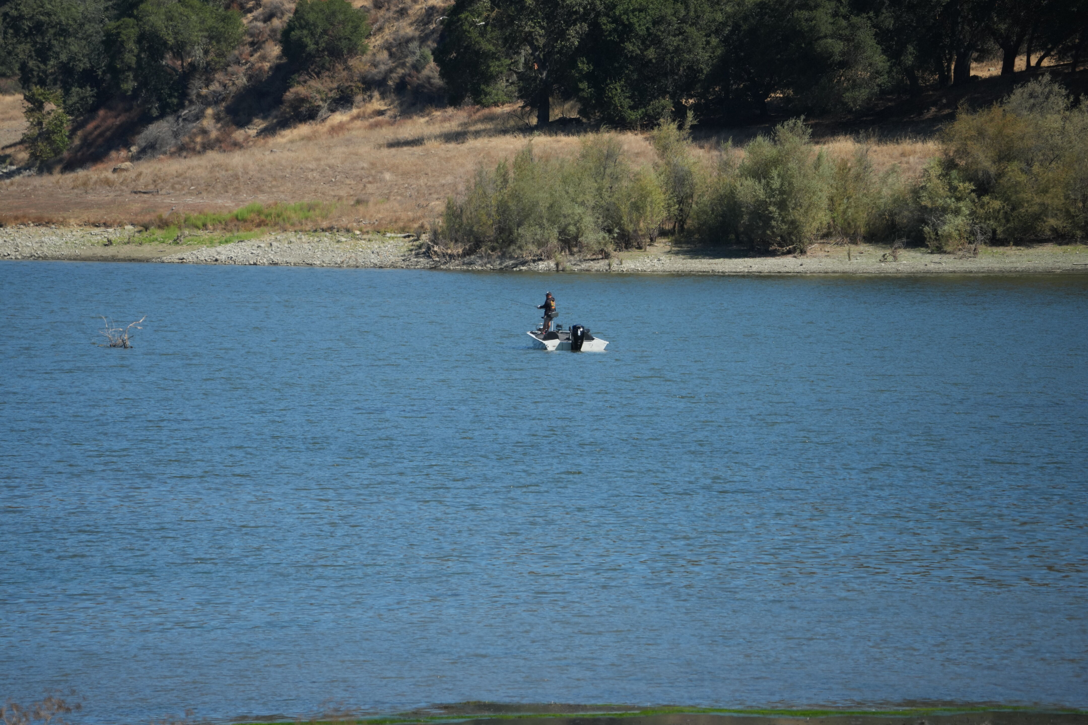 Coyote Lake Harvey Bear Ranch County Park